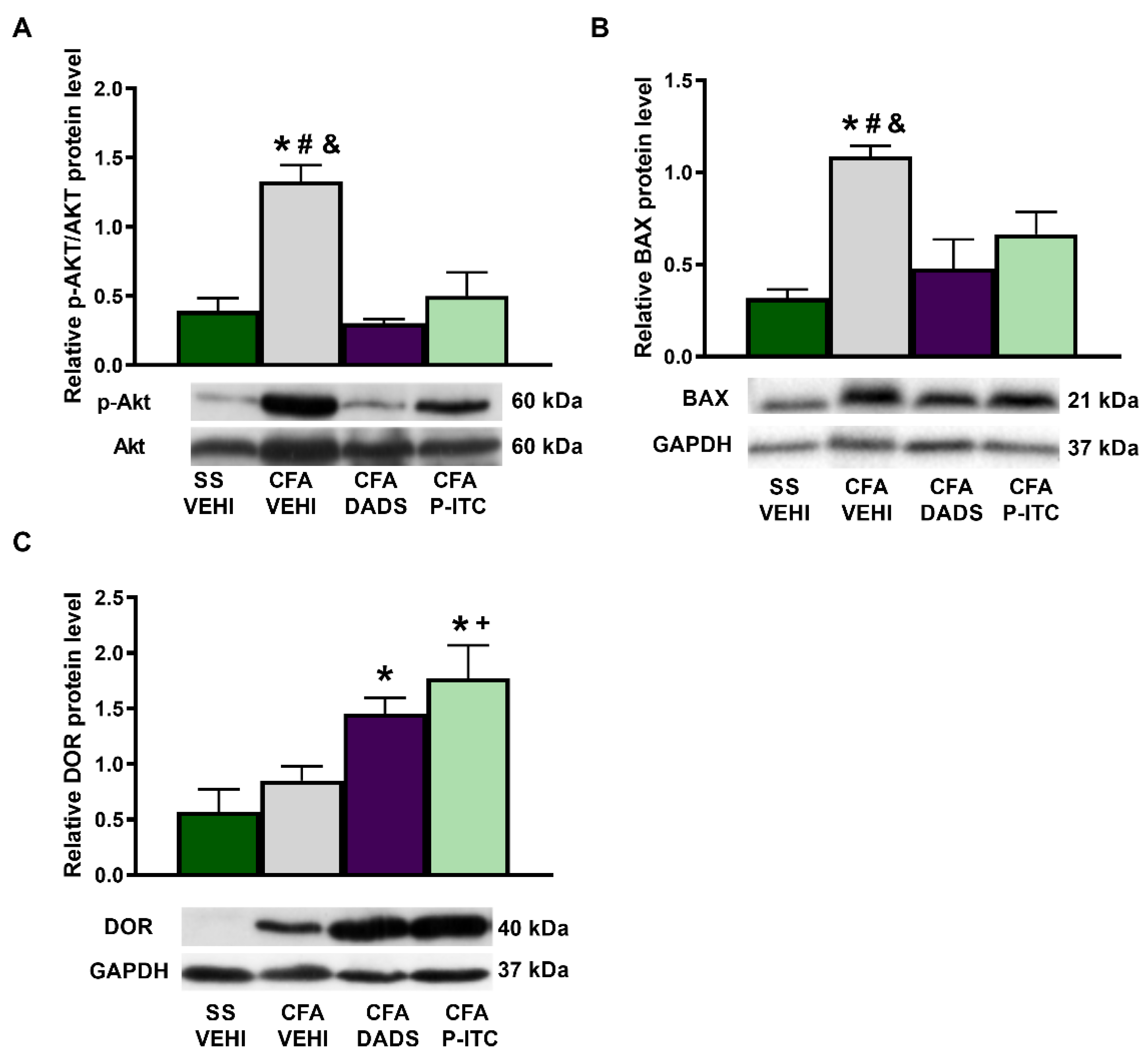 Antioxidants 10 01977 g006 550