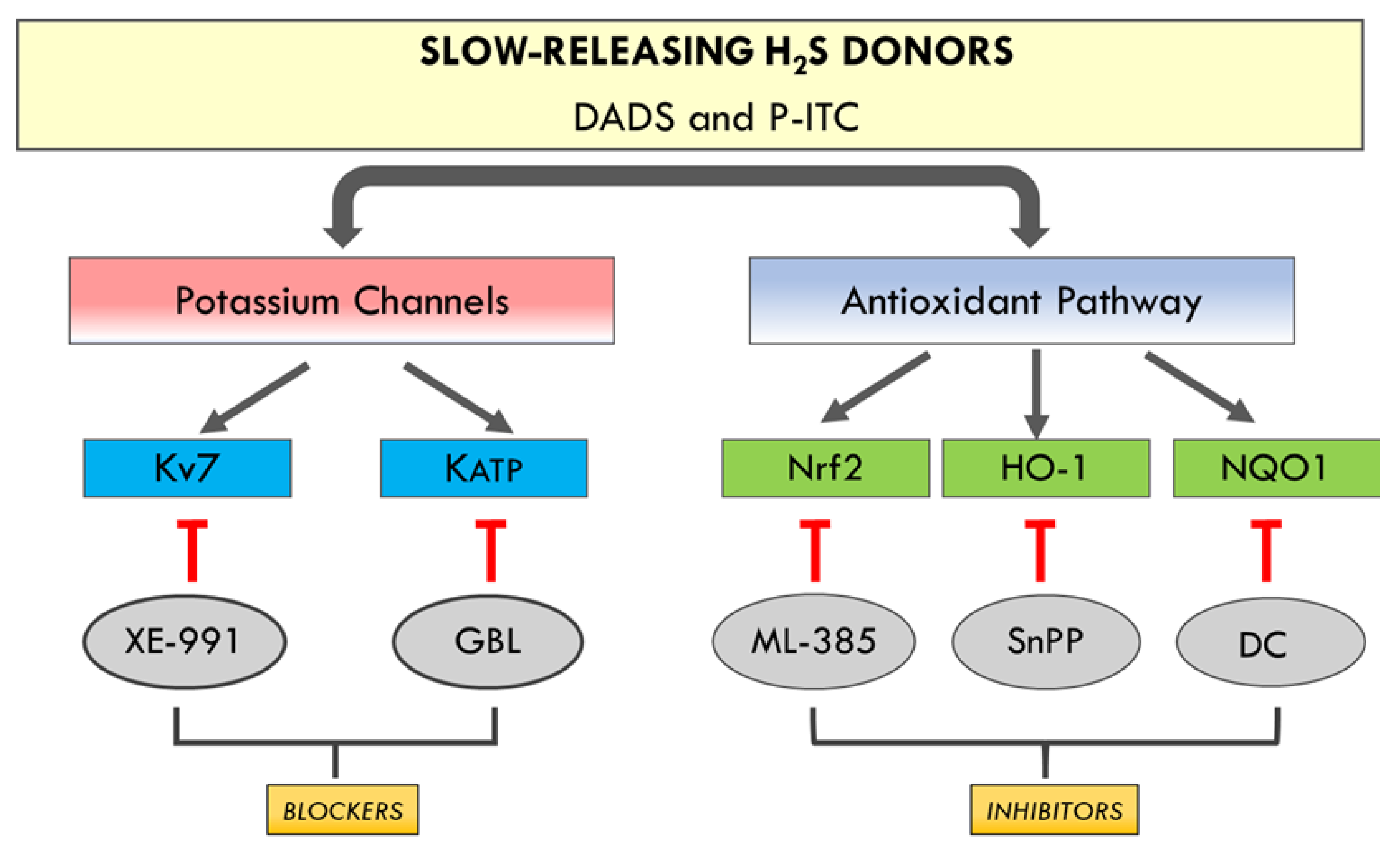 Antioxidants 10 01977 g009 550