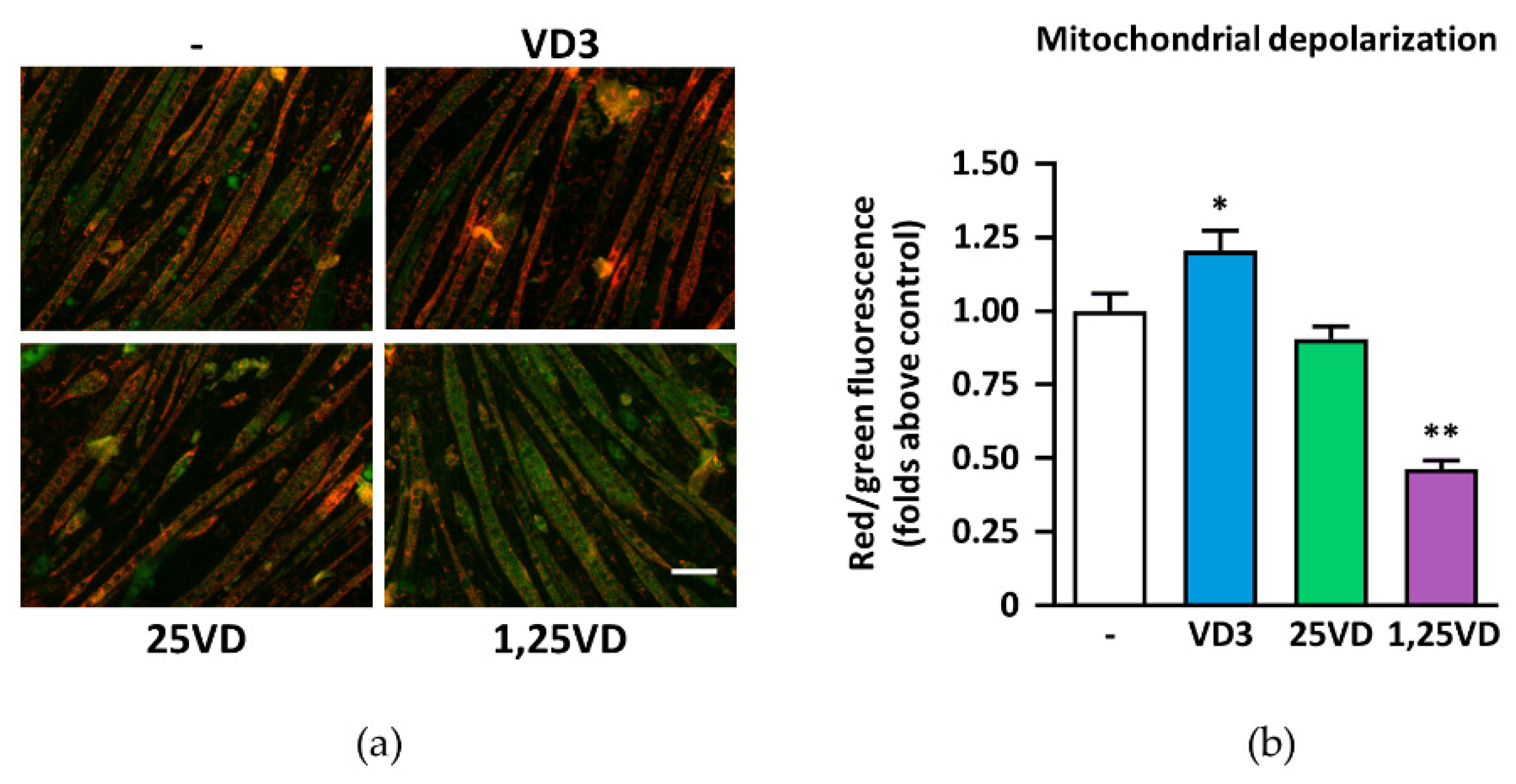Antioxidants 10 01980 g001 550