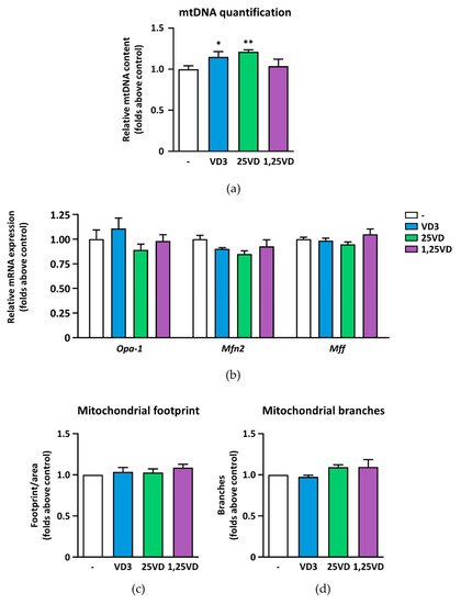 The Atrophic Effect of 1,25(OH)2 Vitamin D3 (Calcitriol) on