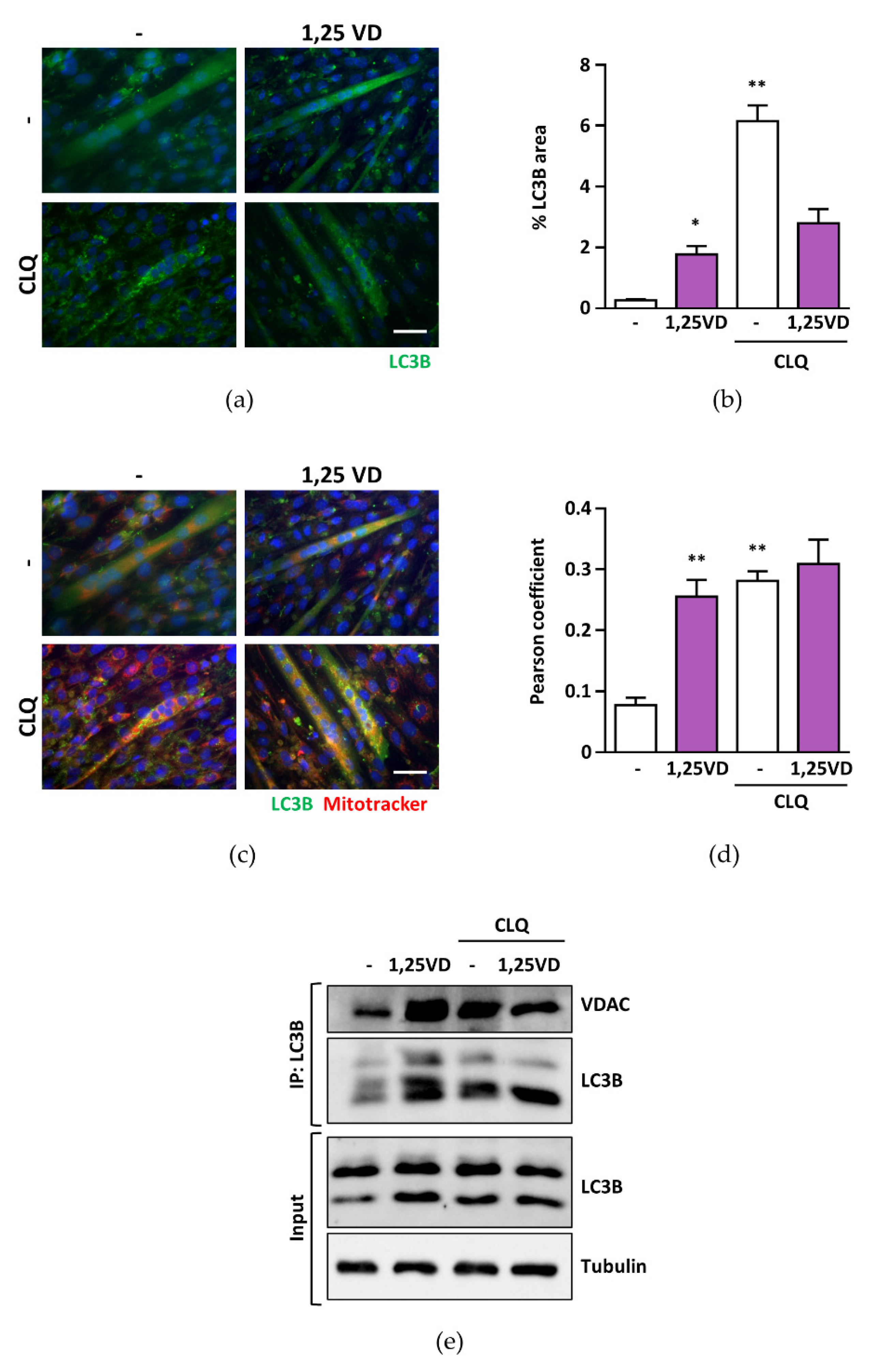 Antioxidants 10 01980 g005 550
