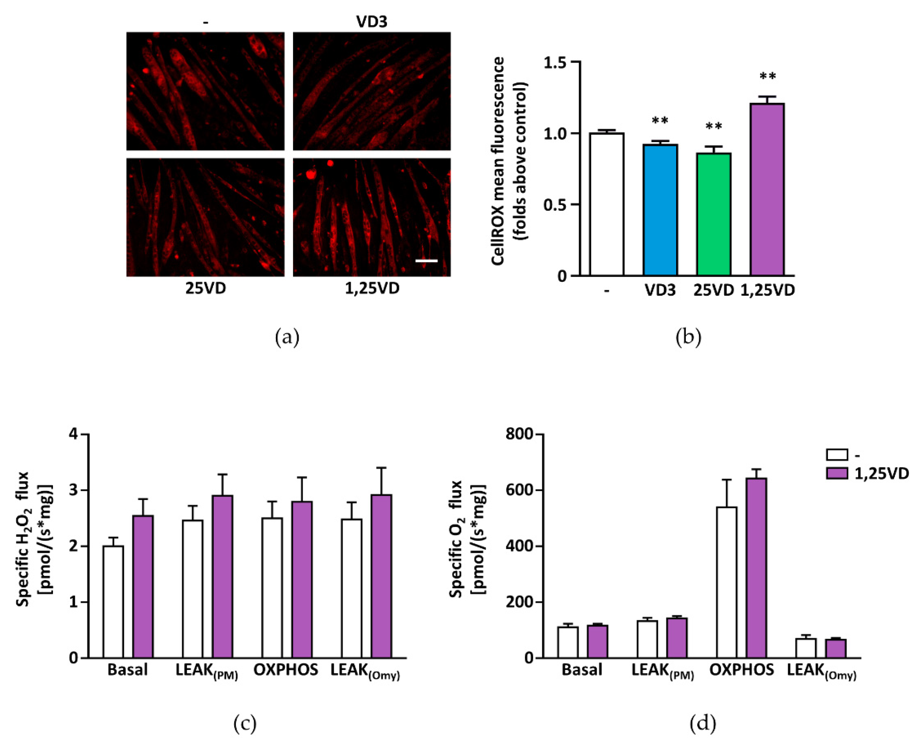 Antioxidants 10 01980 g006 550
