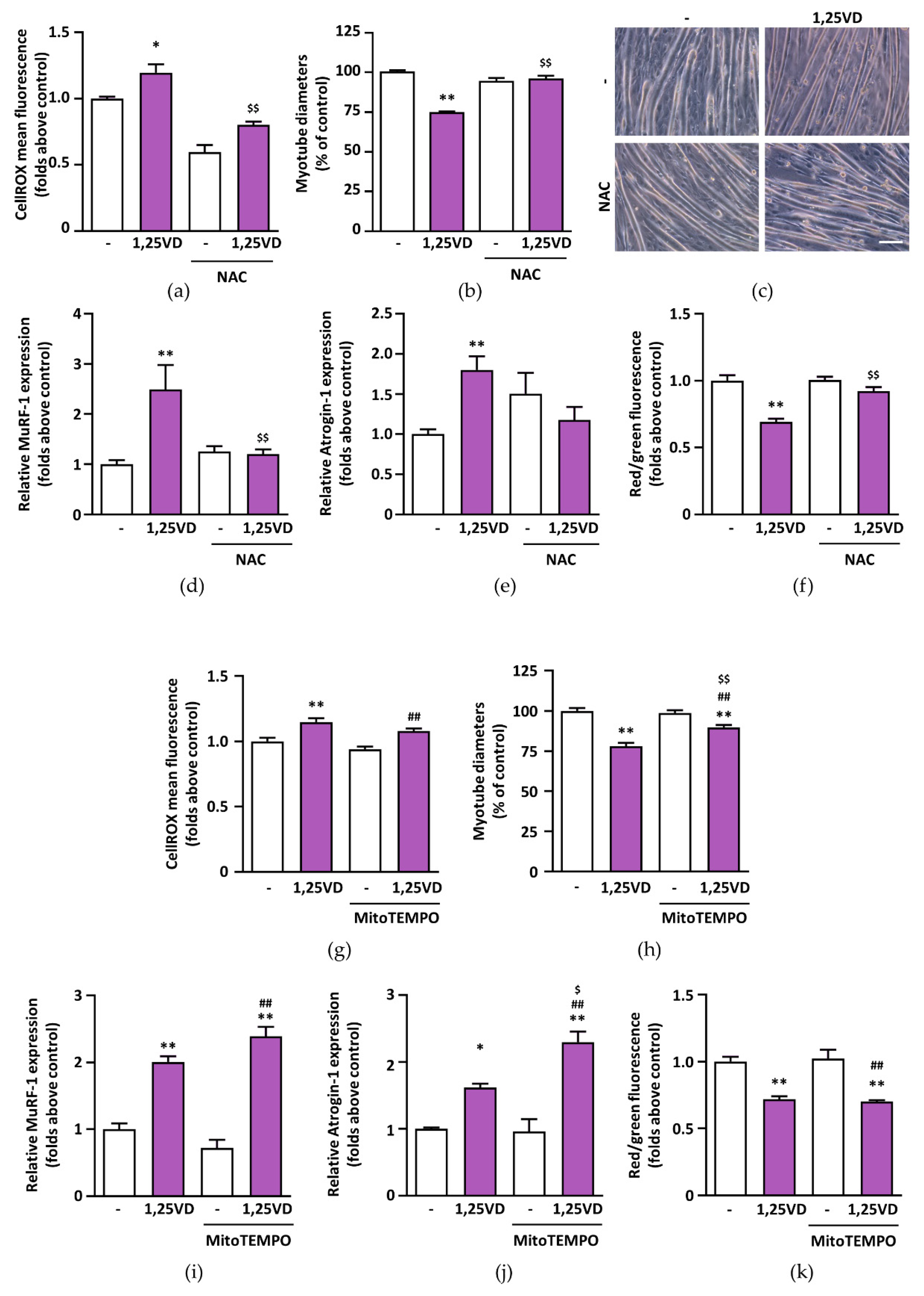 Antioxidants 10 01980 g007 550