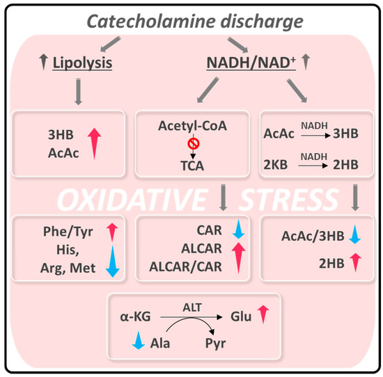 antioxidants december 2021 browse articles