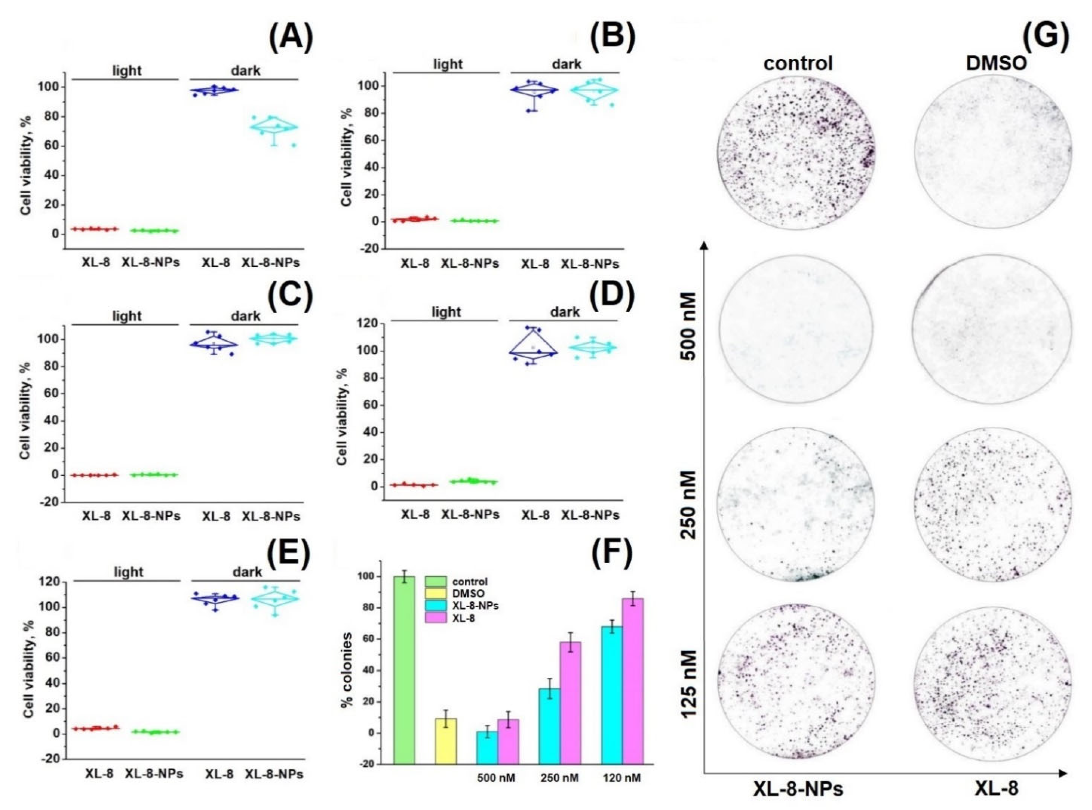 Antioxidants 10 01985 g003