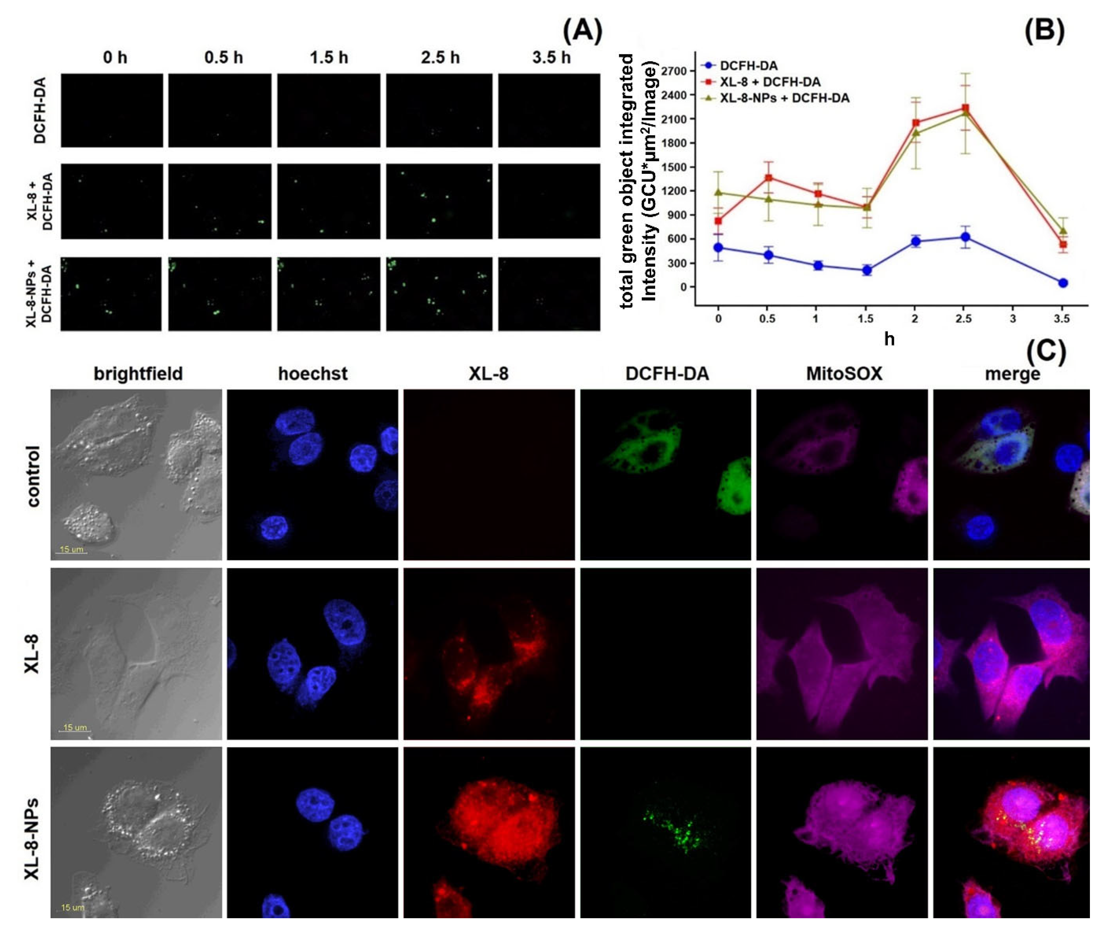 Antioxidants 10 01985 g005