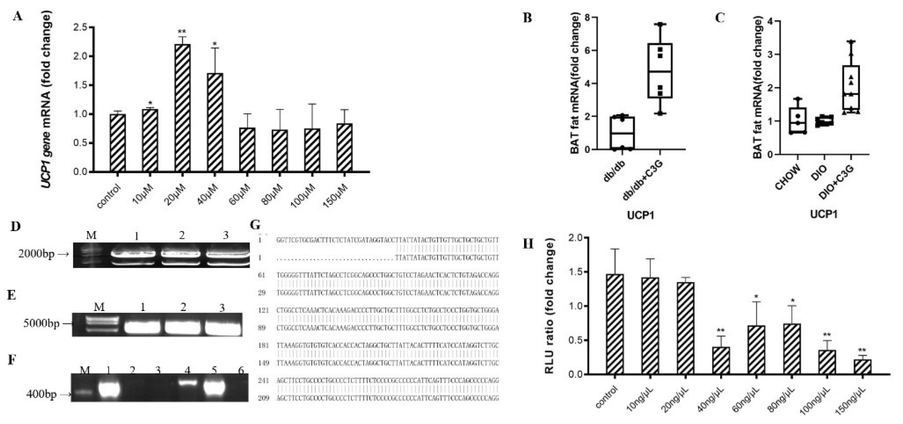 Antioxidants 10 01986 g001