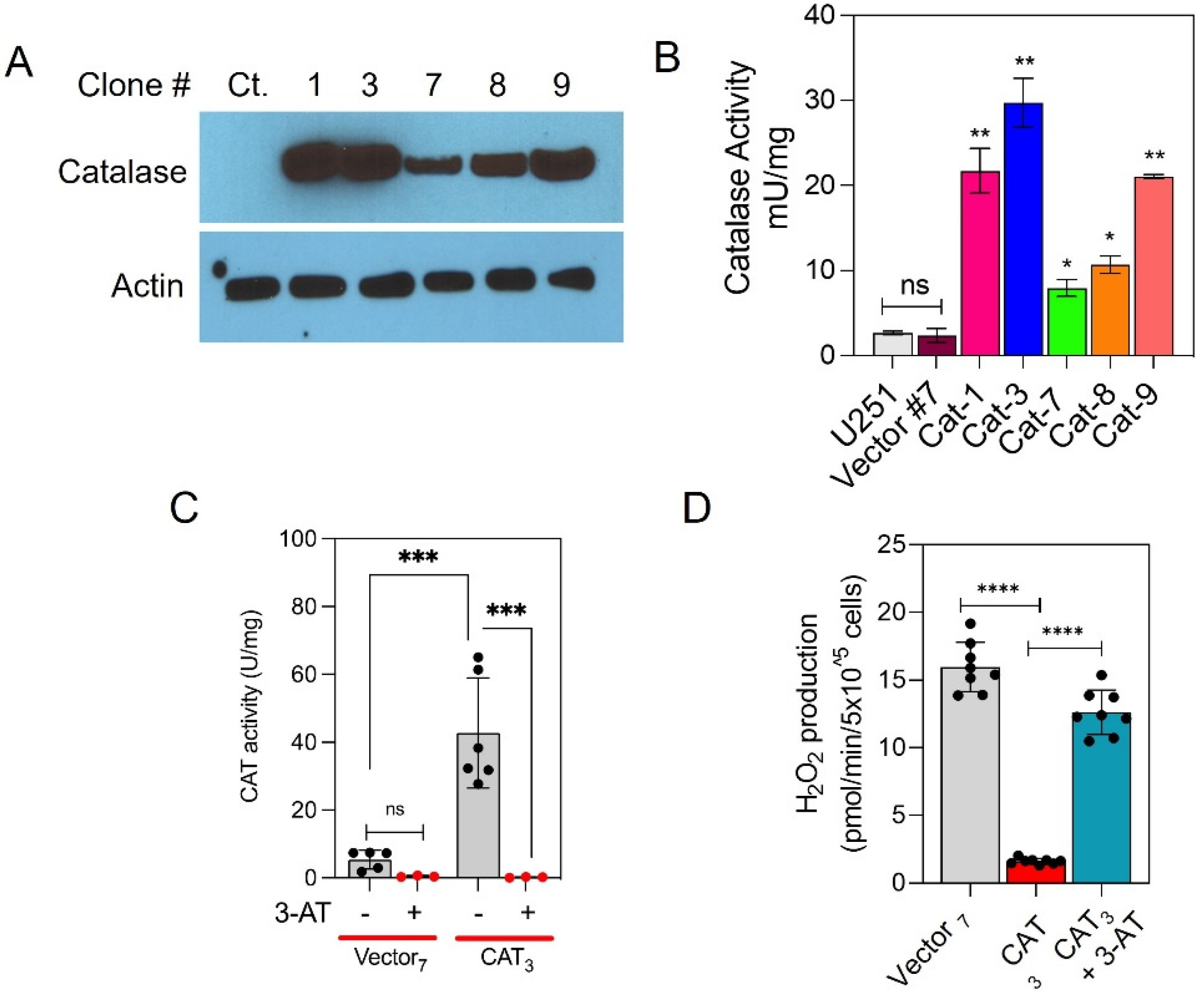 Antioxidants 10 01988 g002 Antioxidants 10 01988 g002