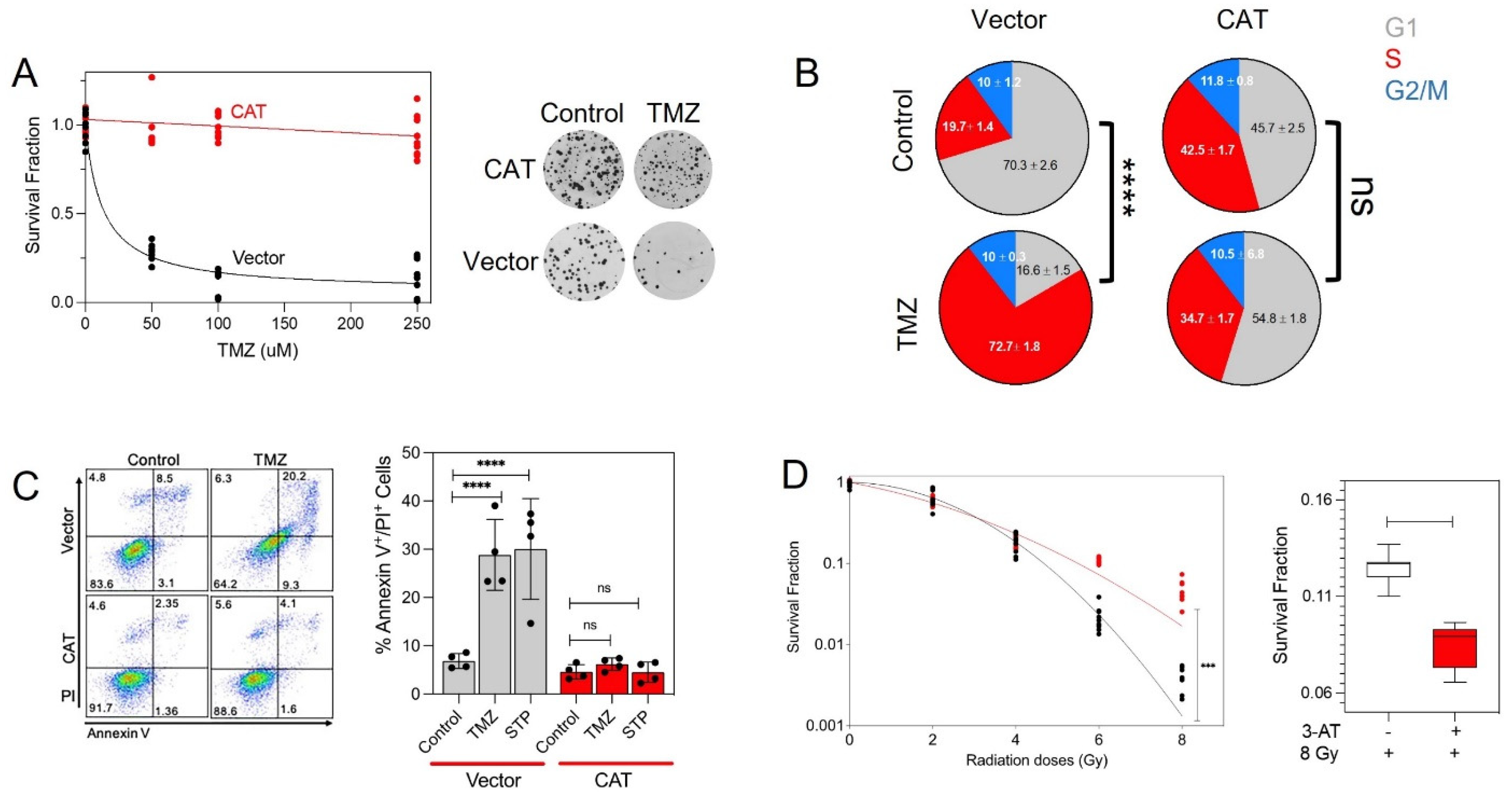 Antioxidants 10 01988 g004 Antioxidants 10 01988 g004