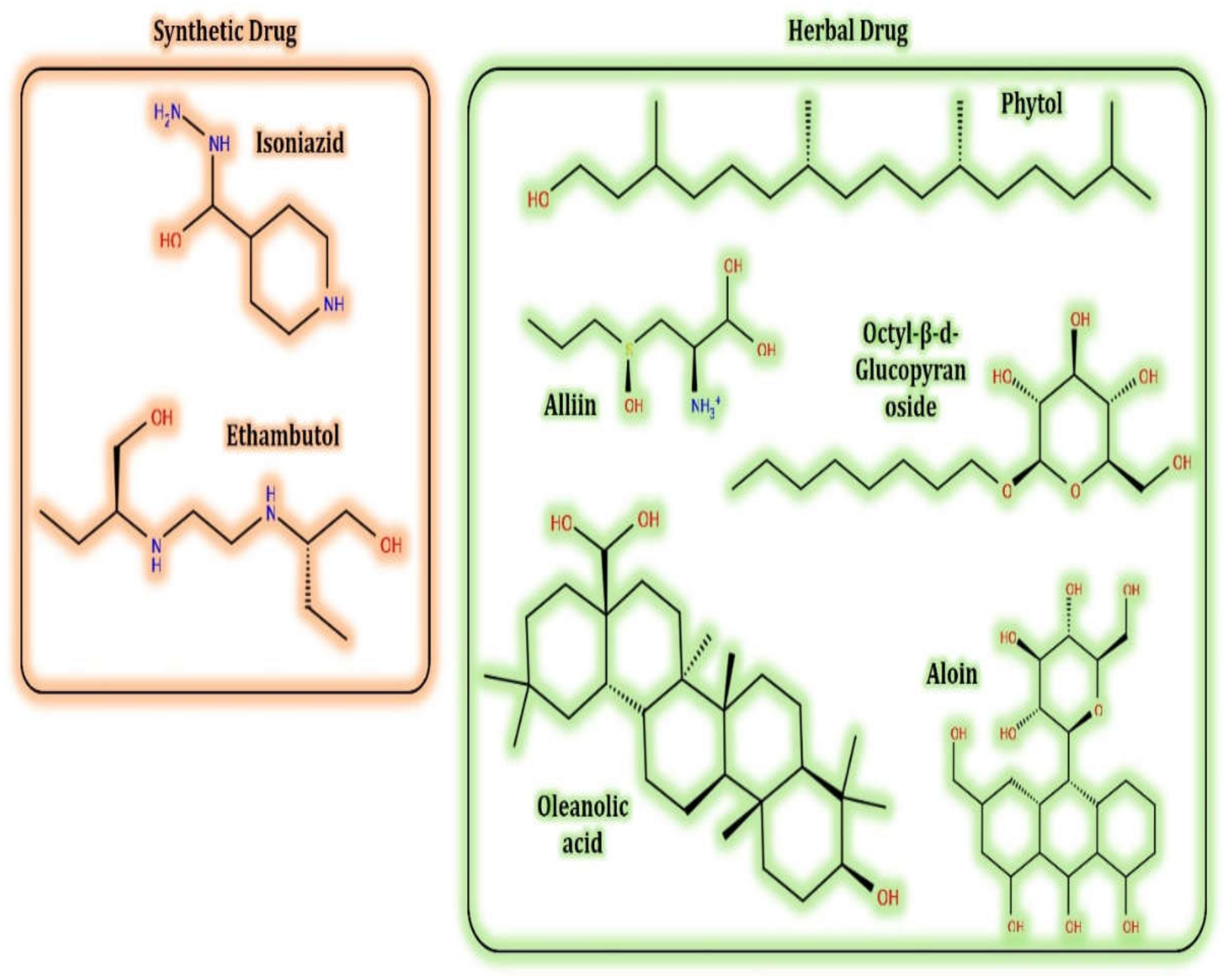 Antioxidants 10 01990 g002 Antioxidants 10 01990 g002