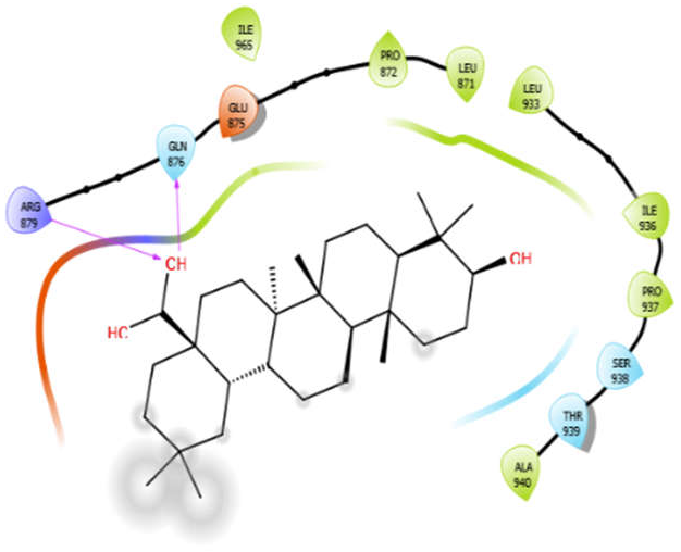 Antioxidants 10 01990 i006 Antioxidants 10 01990 i006