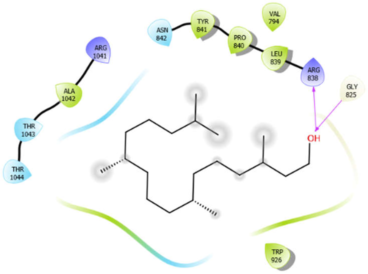 Antioxidants 10 01990 i007 Antioxidants 10 01990 i007