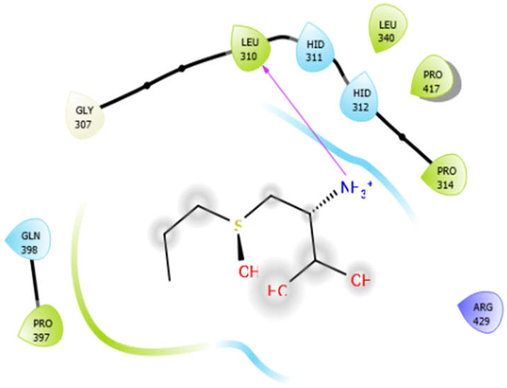 Antioxidants 10 01990 i008 Antioxidants 10 01990 i008