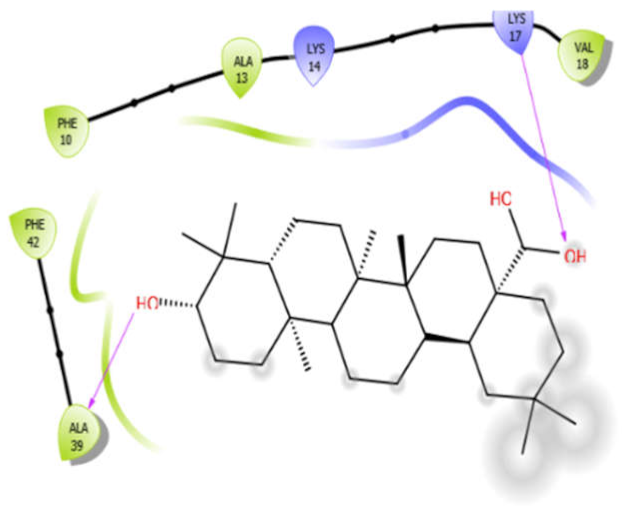 Antioxidants 10 01990 i013 Antioxidants 10 01990 i013