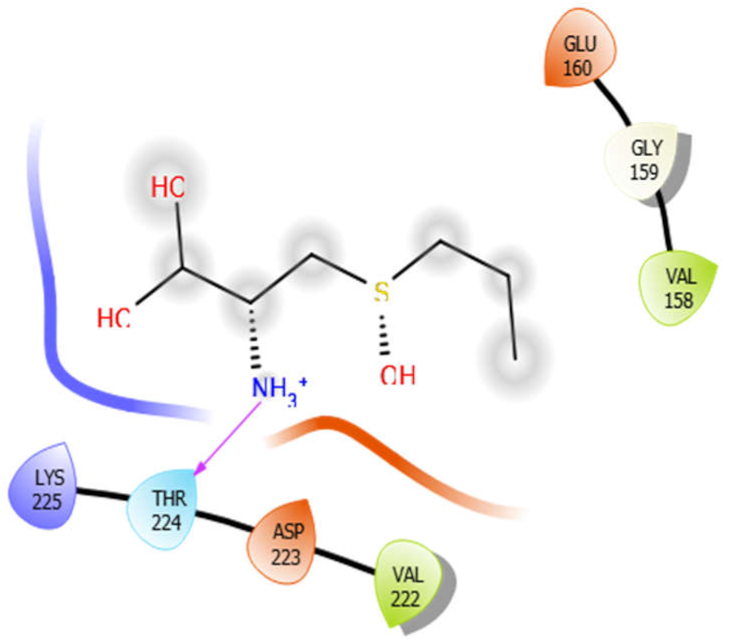 Antioxidants 10 01990 i022 Antioxidants 10 01990 i022