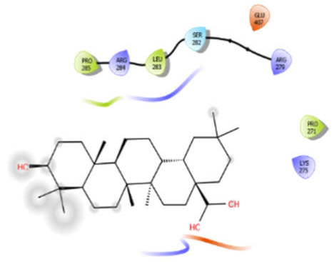 Antioxidants 10 01990 i027 Antioxidants 10 01990 i027