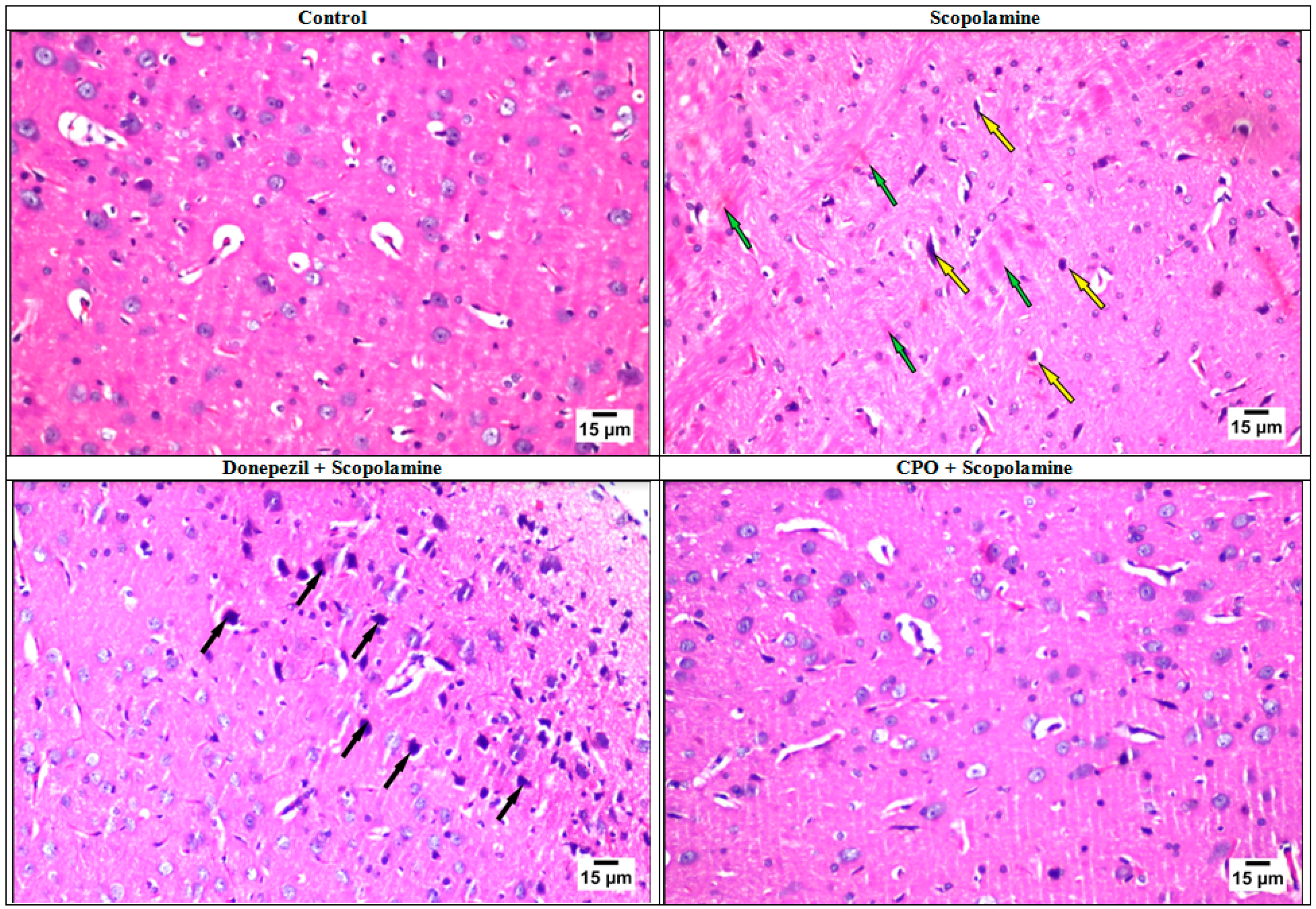 Antioxidants 10 01993 g004 550