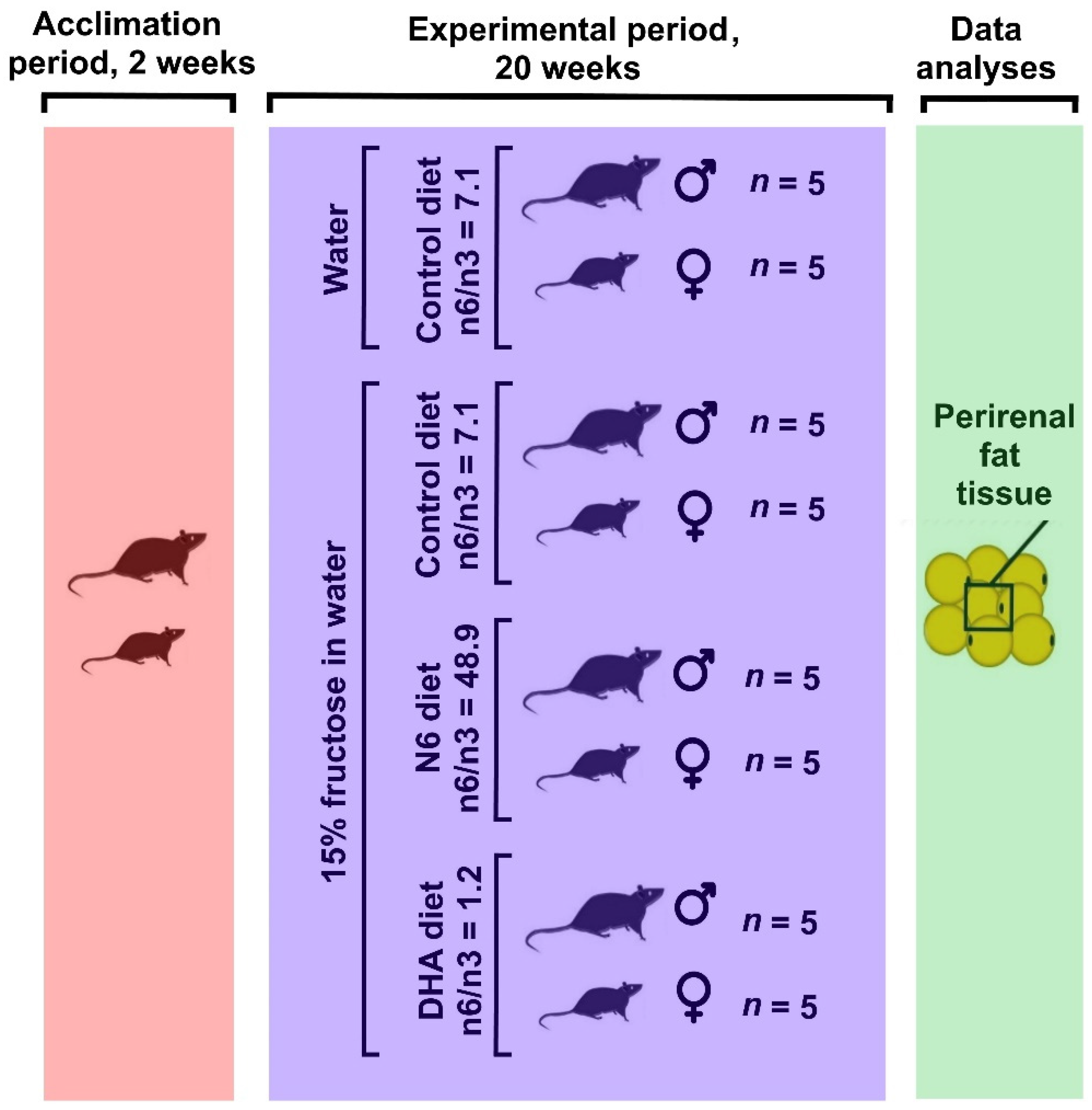 Antioxidants 10 02005 g001 Antioxidants 10 02005 g001