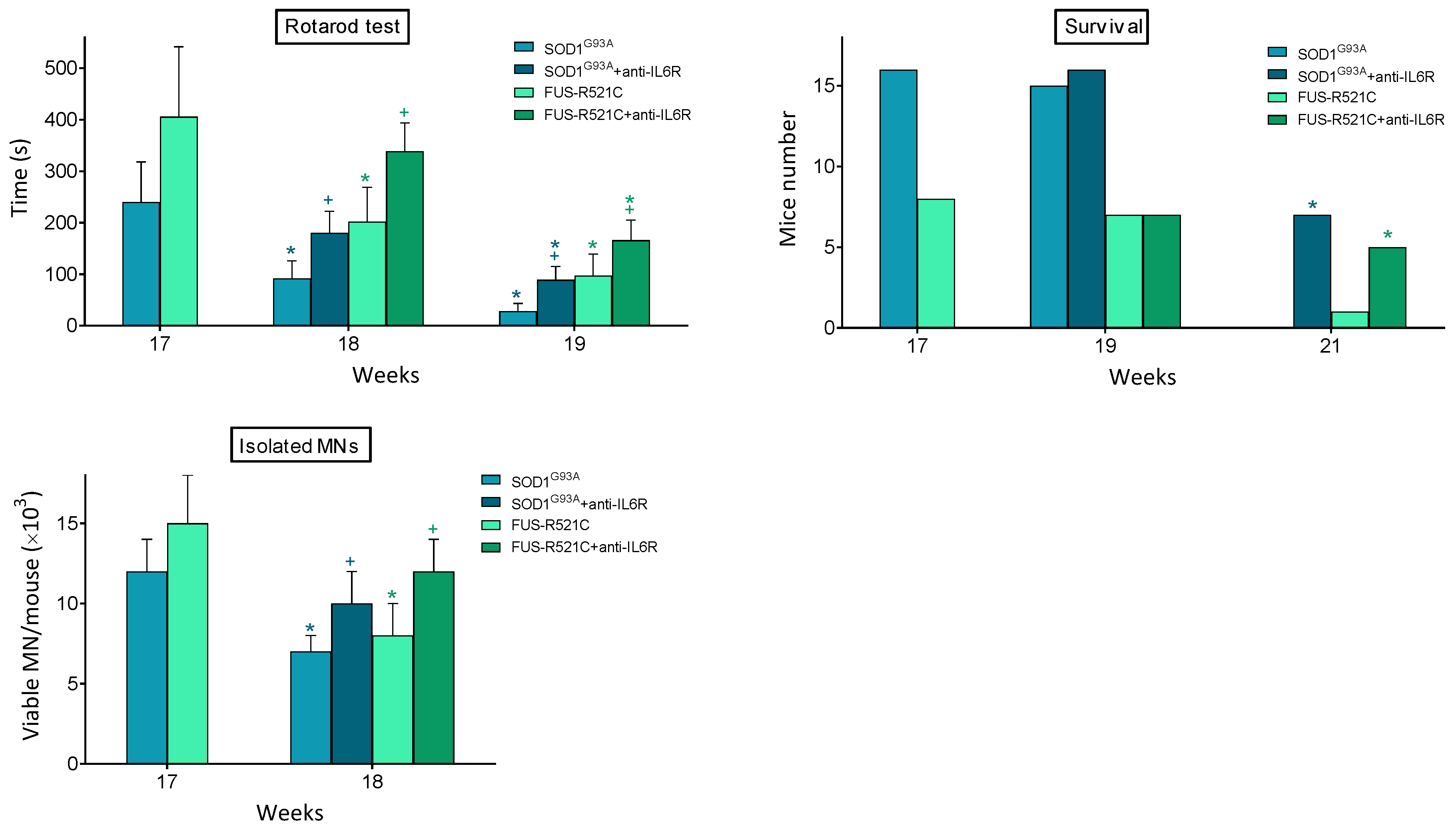 Antioxidants 10 02007 g003