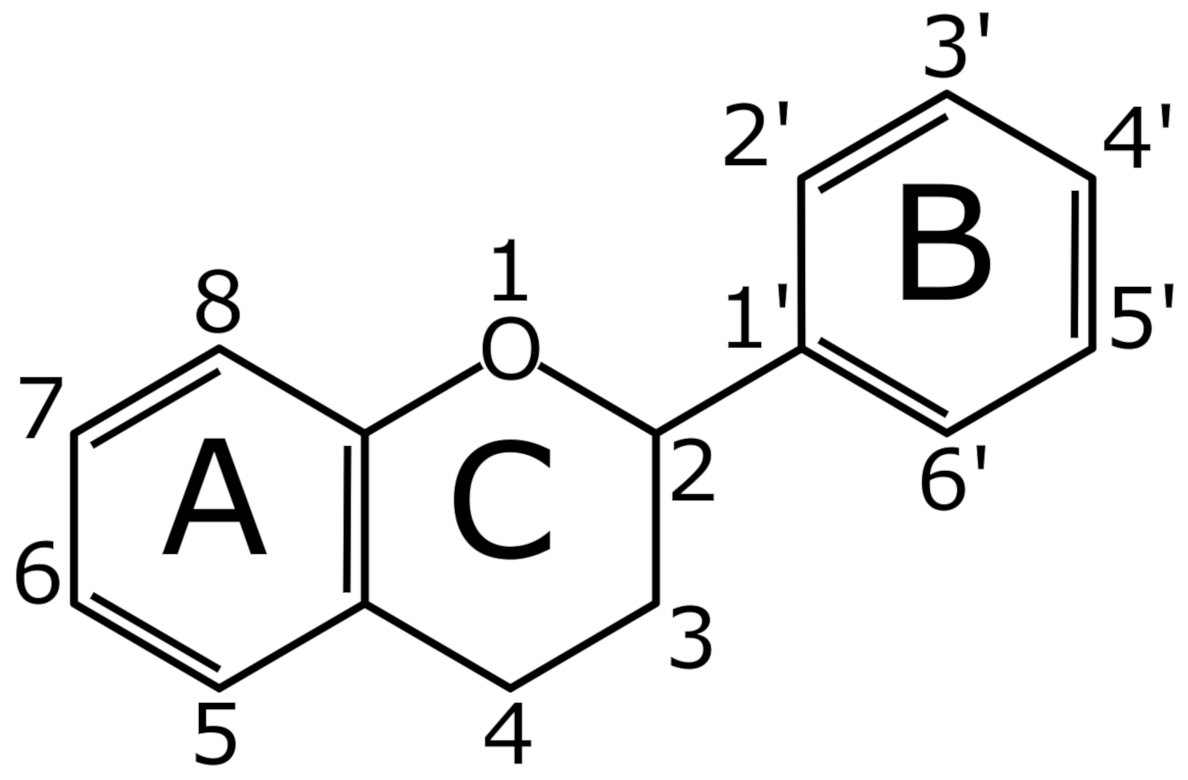 Antioxidants 10 02014 g001