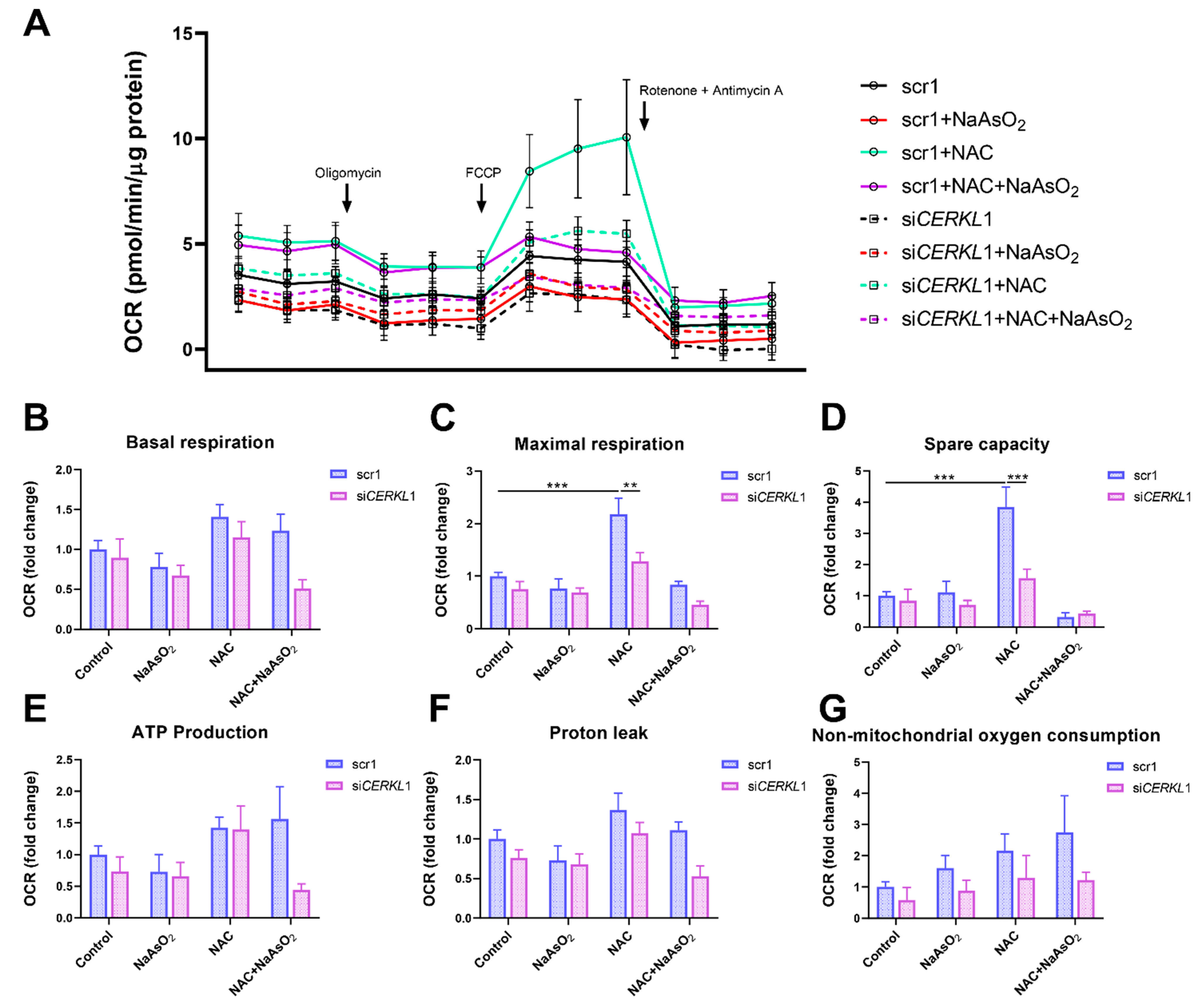 Antioxidants 10 02018 g005 550