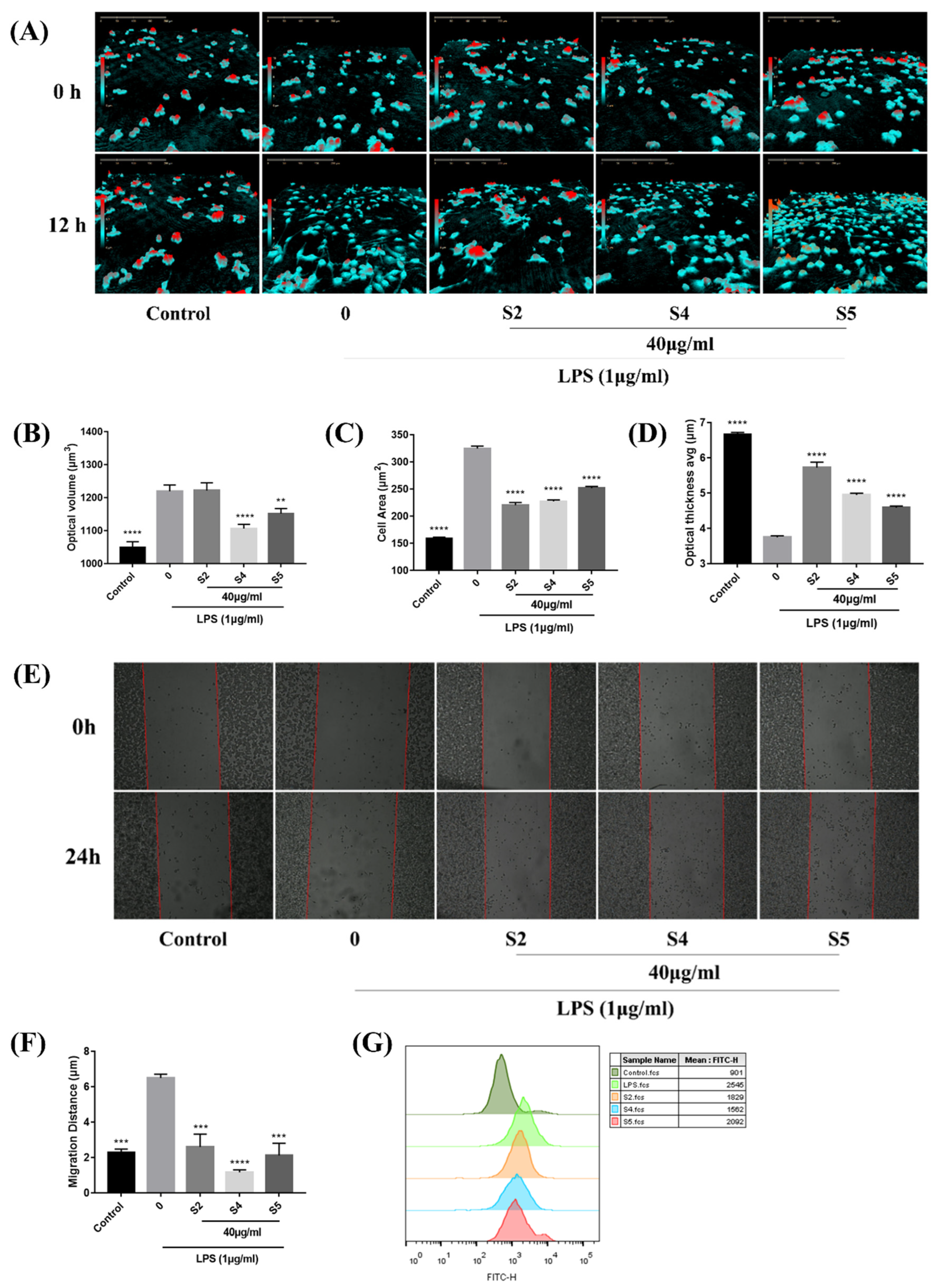 Antioxidants 10 02019 g003 550