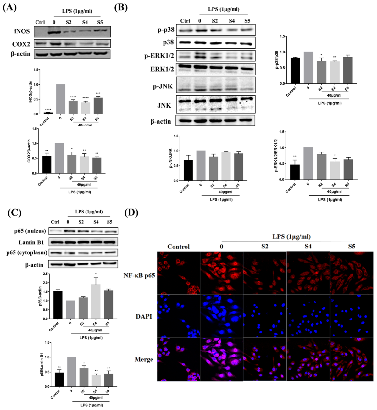 Antioxidants 10 02019 g005 550