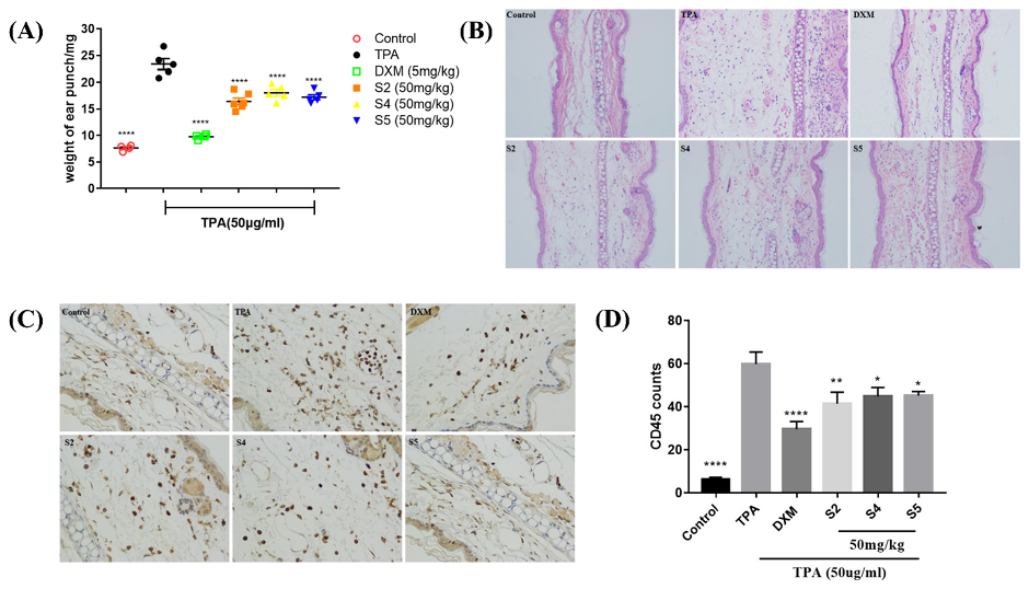 Antioxidants 10 02019 g006 550