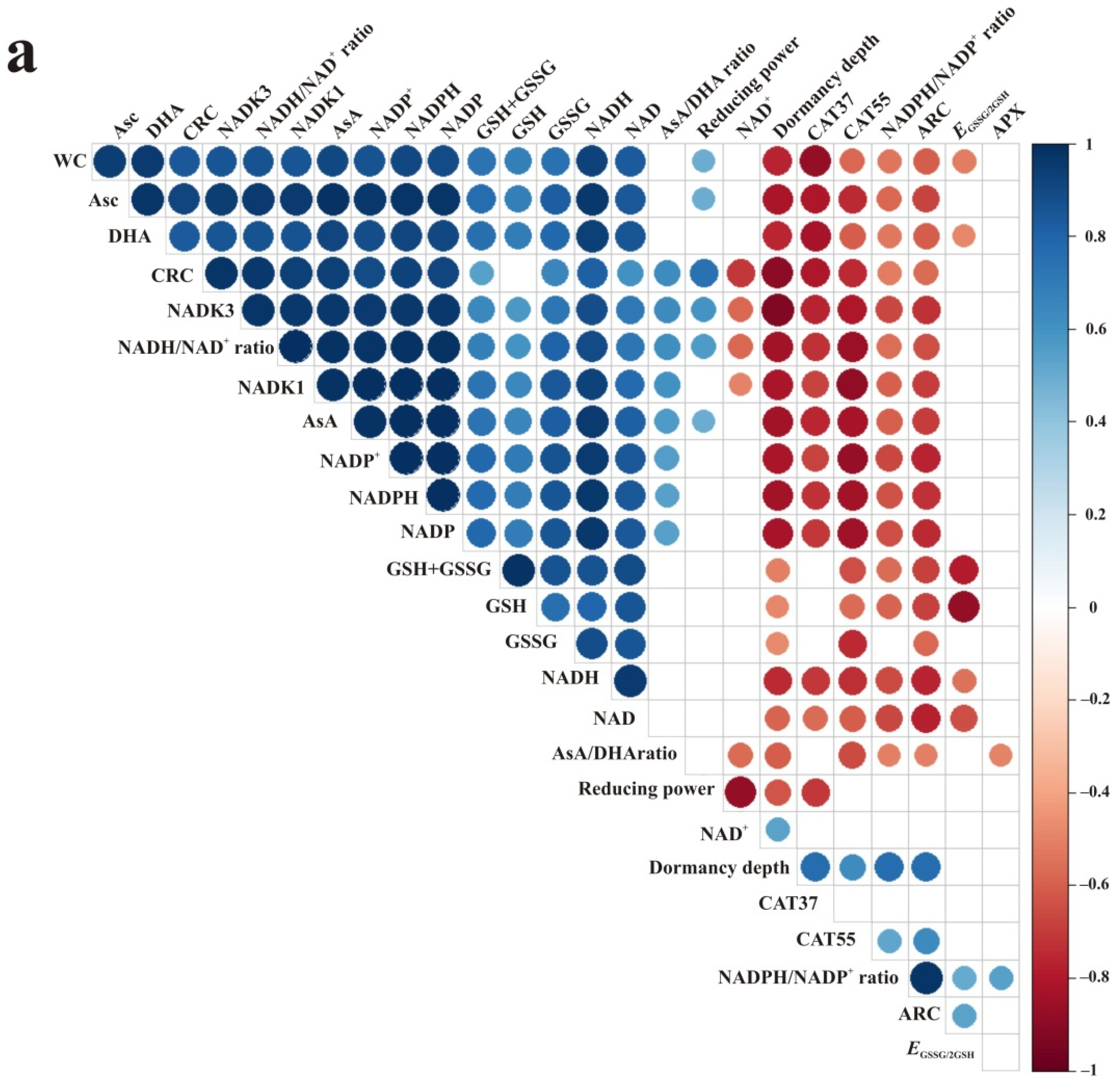Antioxidants 10 02021 g007a Antioxidants 10 02021 g007a
