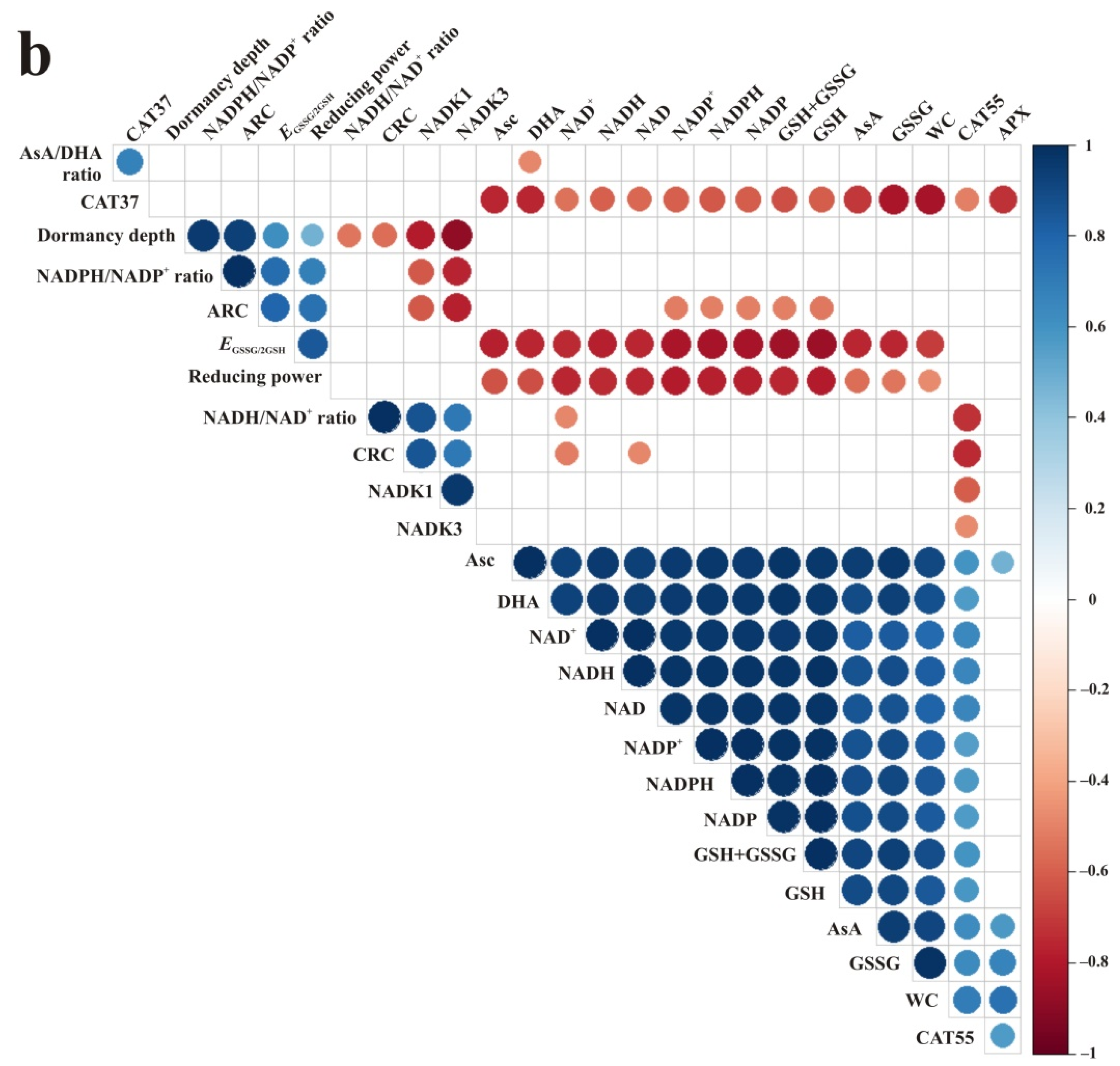 Antioxidants 10 02021 g007b Antioxidants 10 02021 g007b