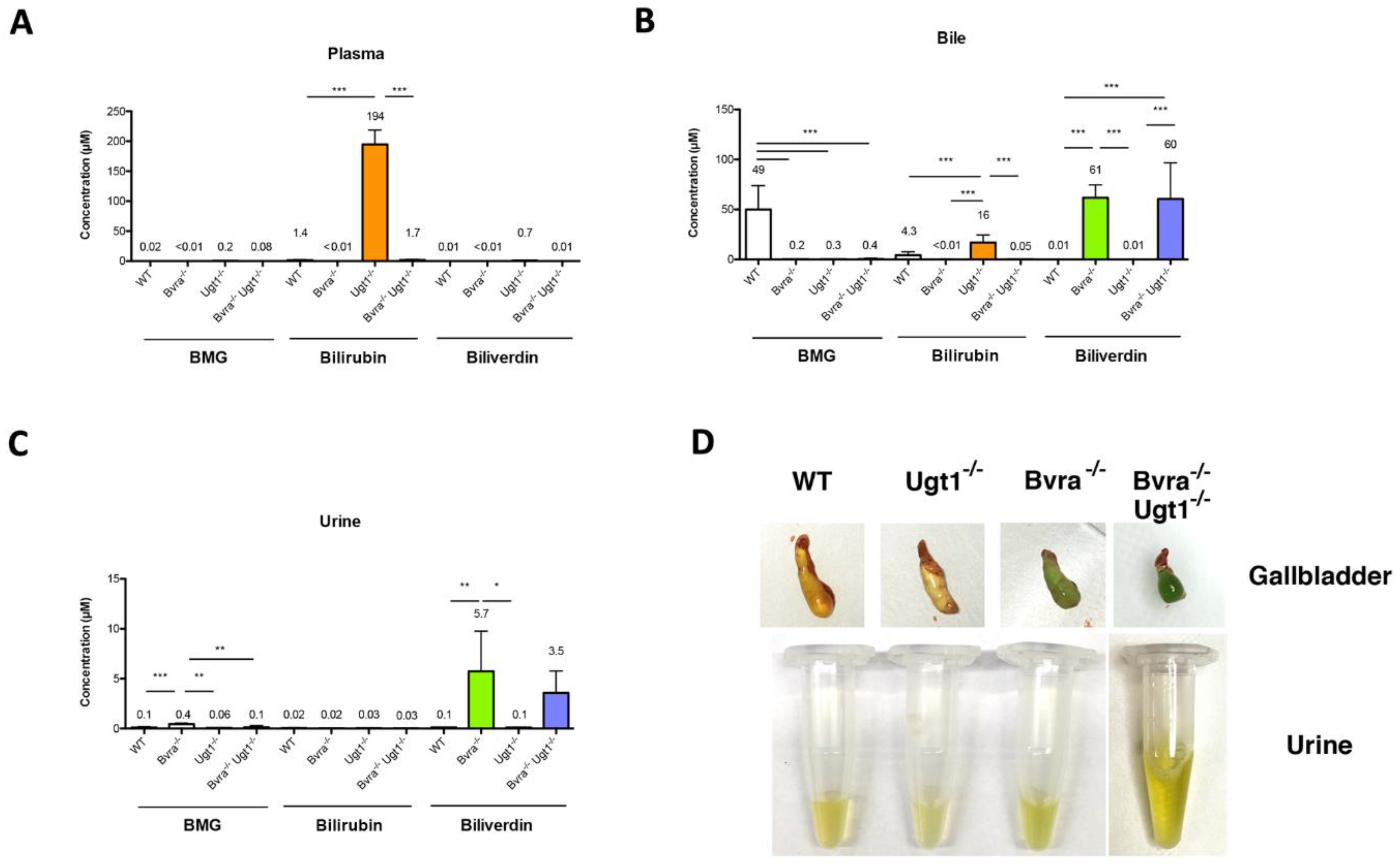 Antioxidants 10 02029 g003 Antioxidants 10 02029 g003