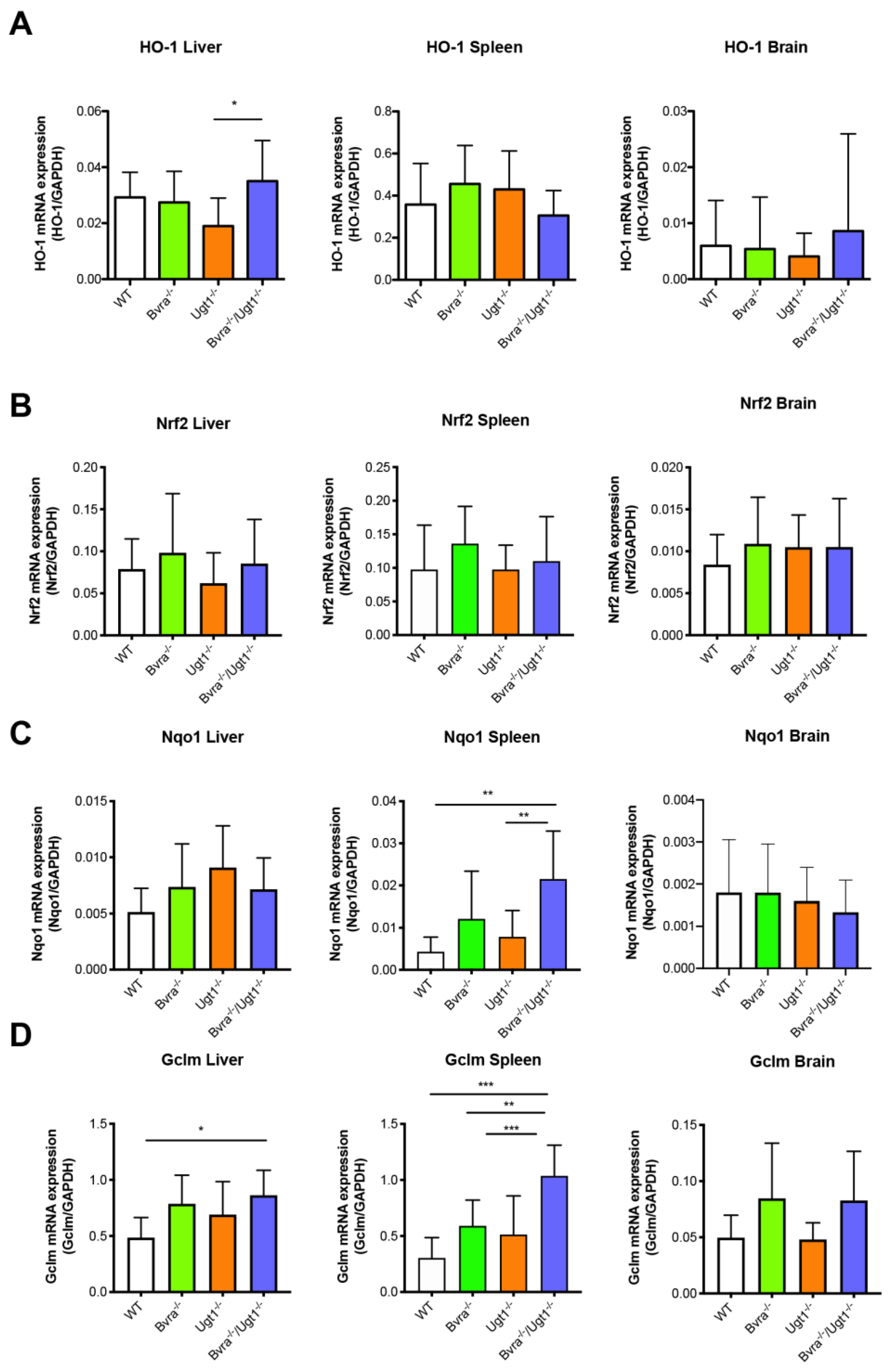 Antioxidants 10 02029 g006 Antioxidants 10 02029 g006