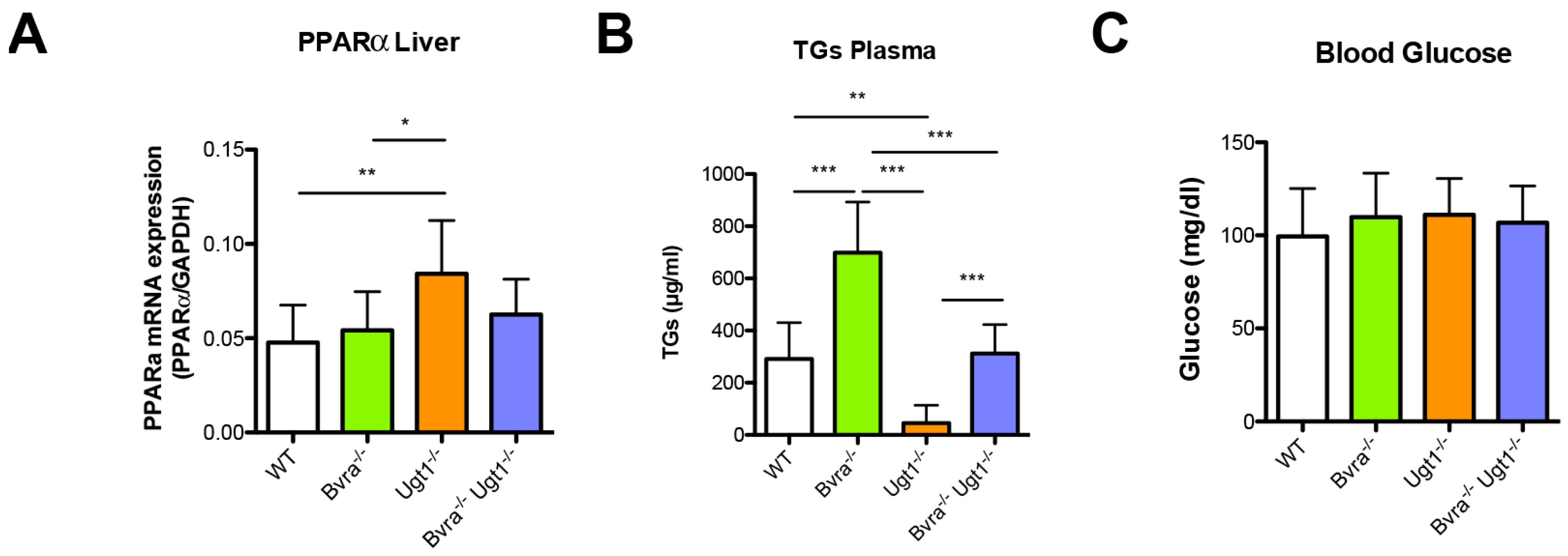 Antioxidants 10 02029 g007 Antioxidants 10 02029 g007