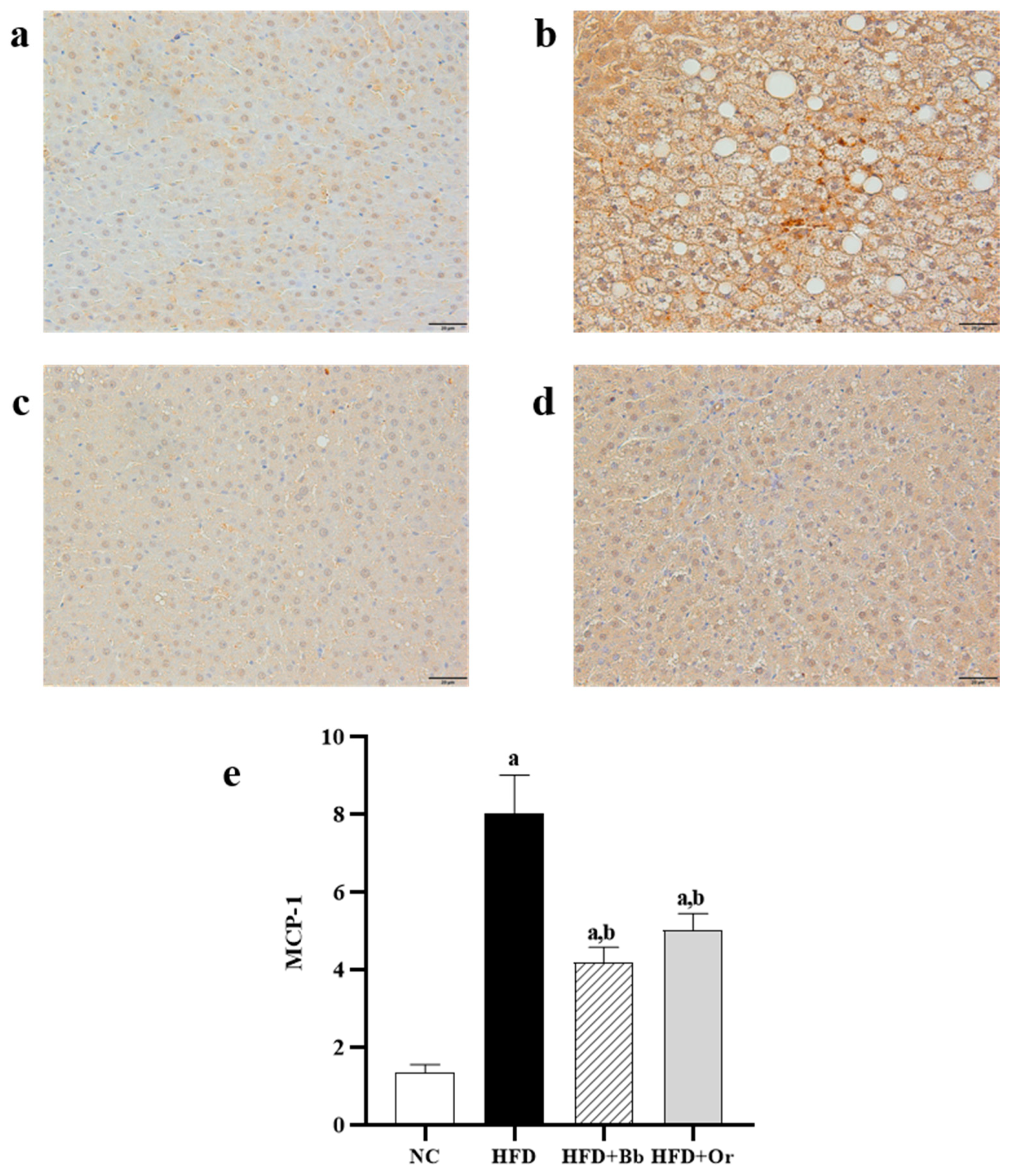 Antioxidants 10 02031 g003