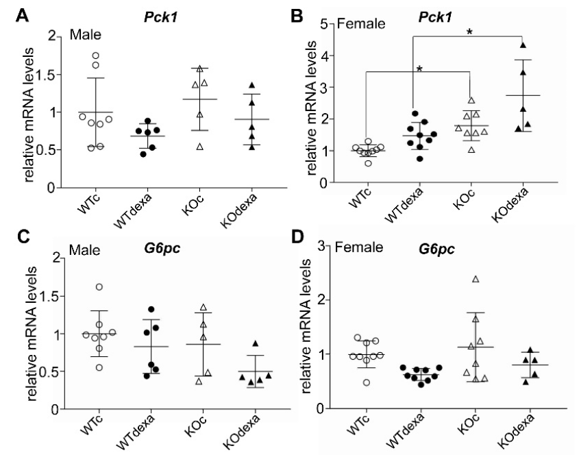 Antioxidants 11 00004 g005