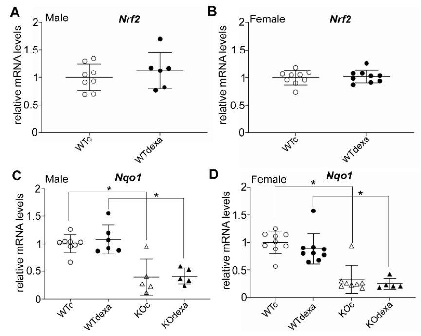 Antioxidants 11 00004 g006