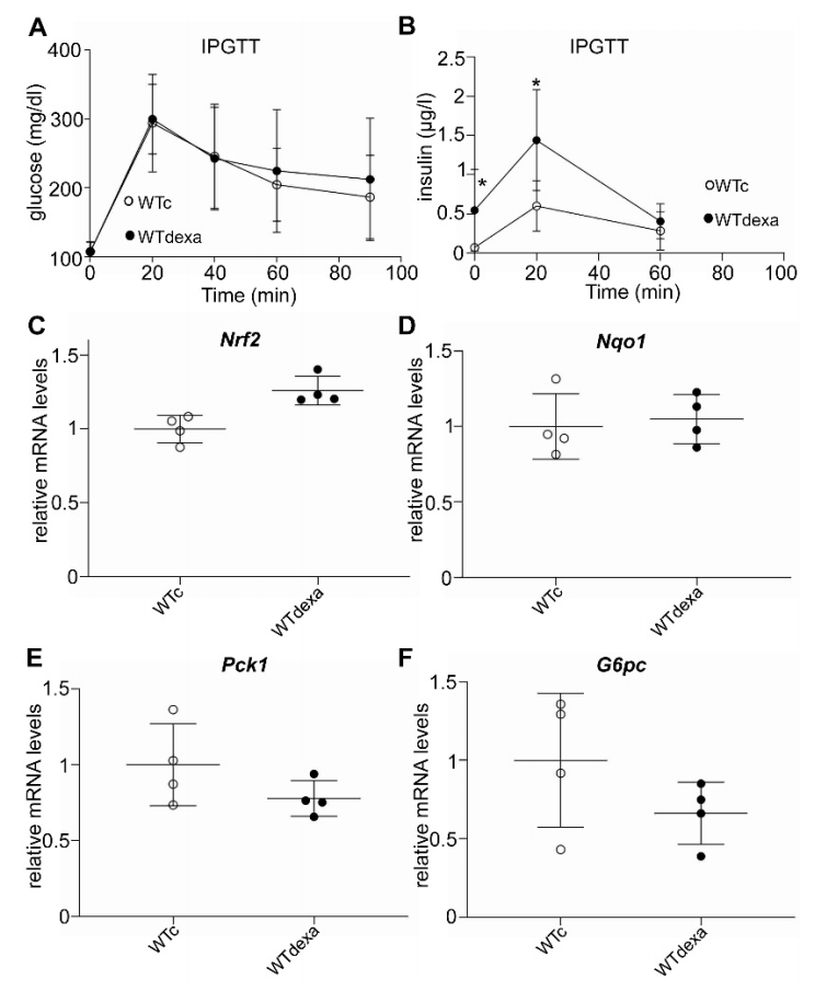 Antioxidants 11 00004 g007