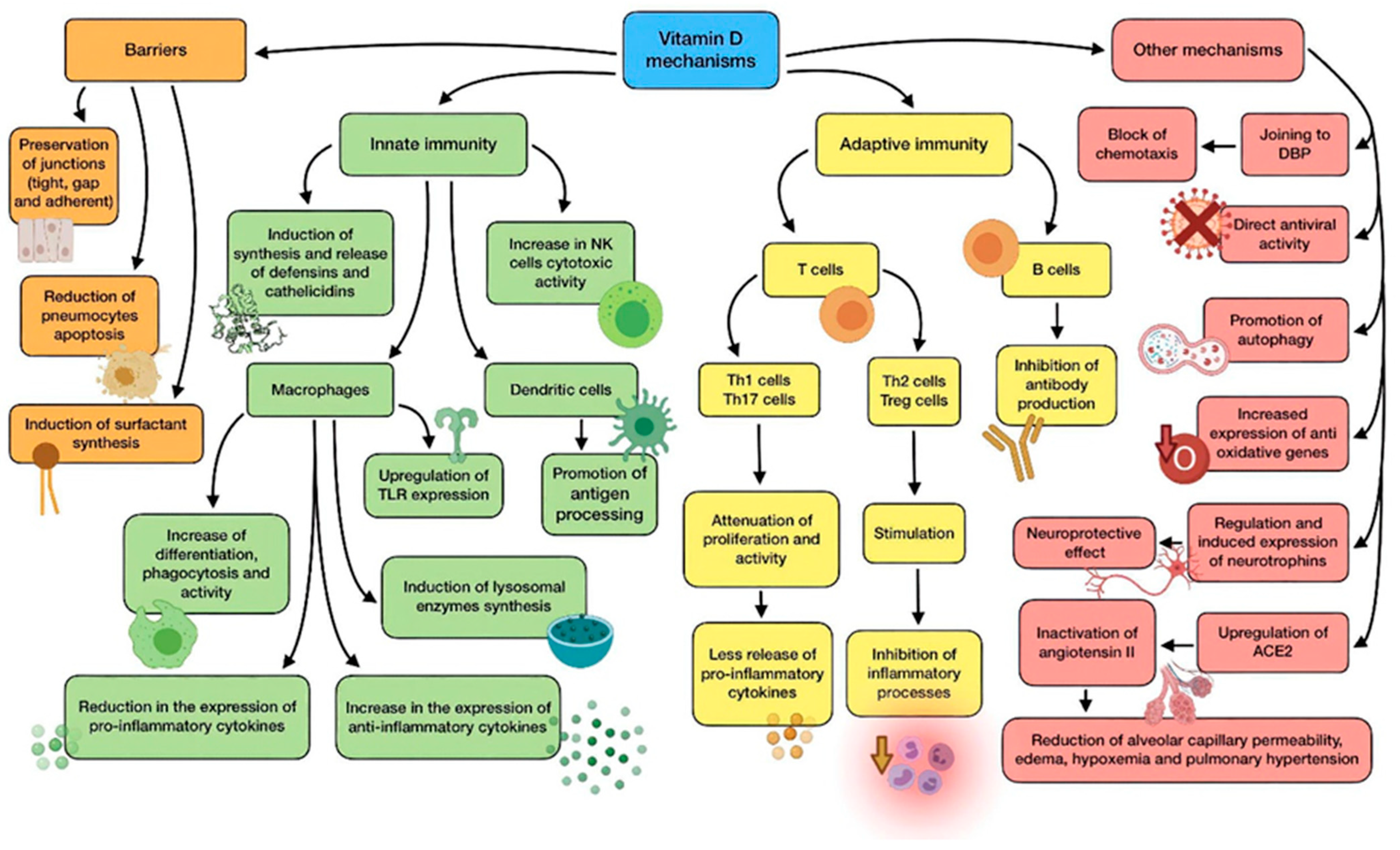 Antioxidants 11 00005 g002 550