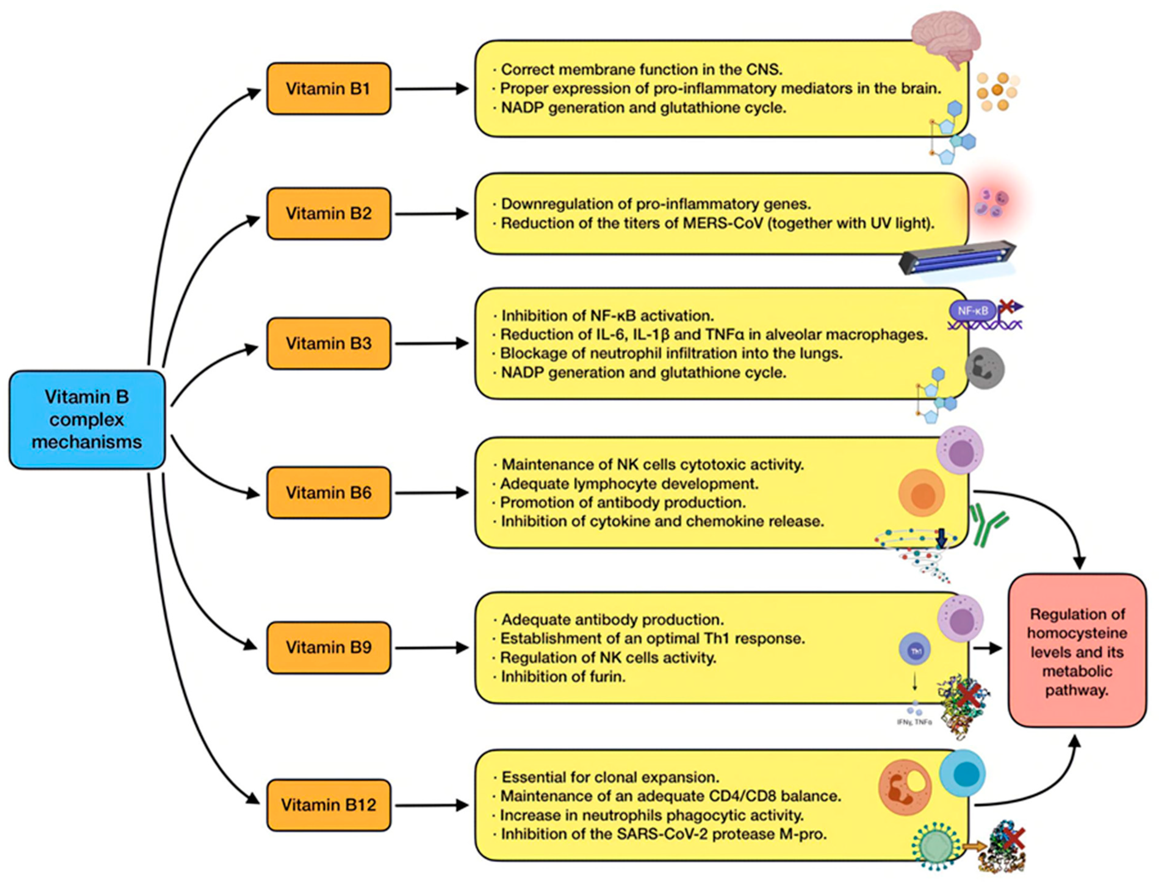 Antioxidants 11 00005 g006 550