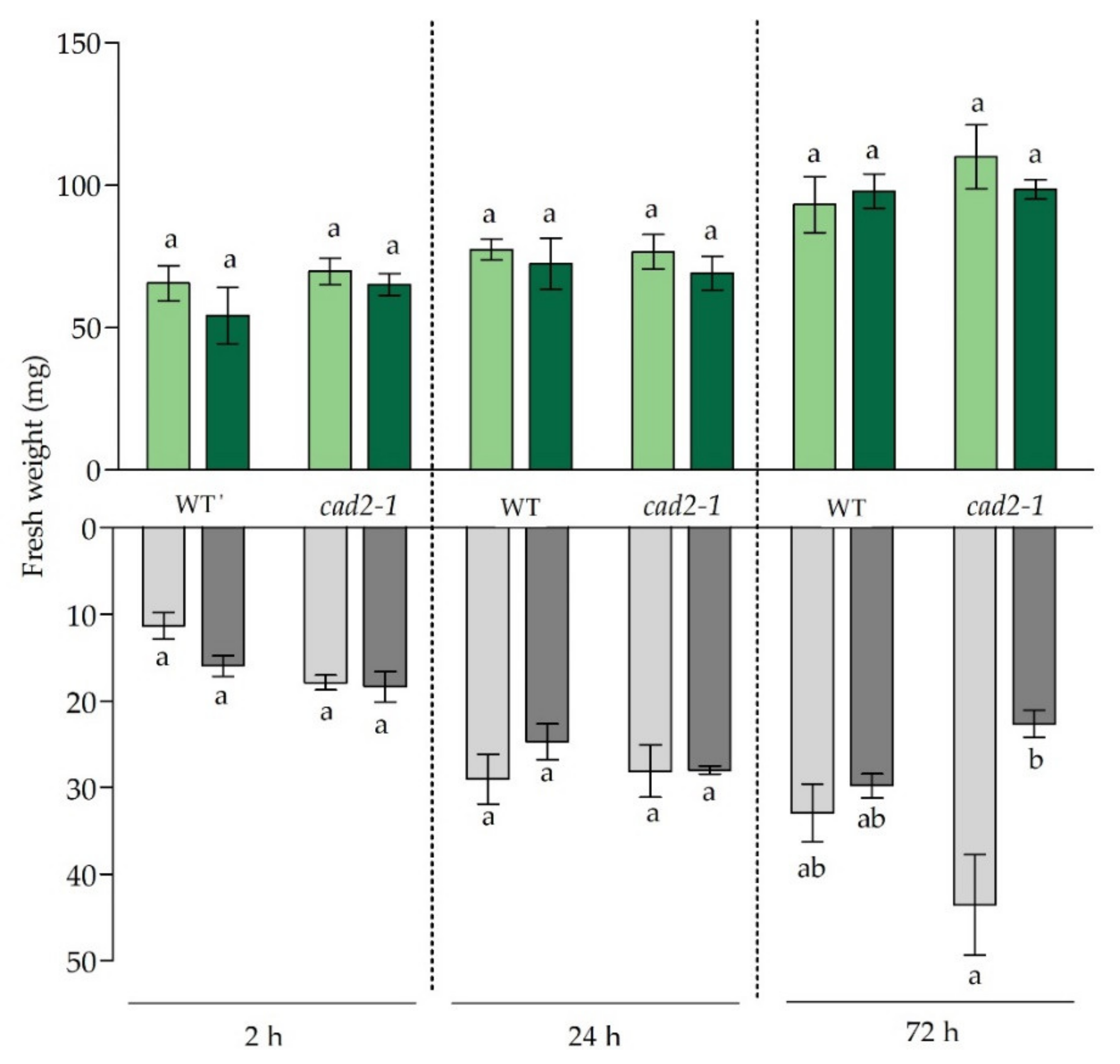 Antioxidants 11 00006 g001