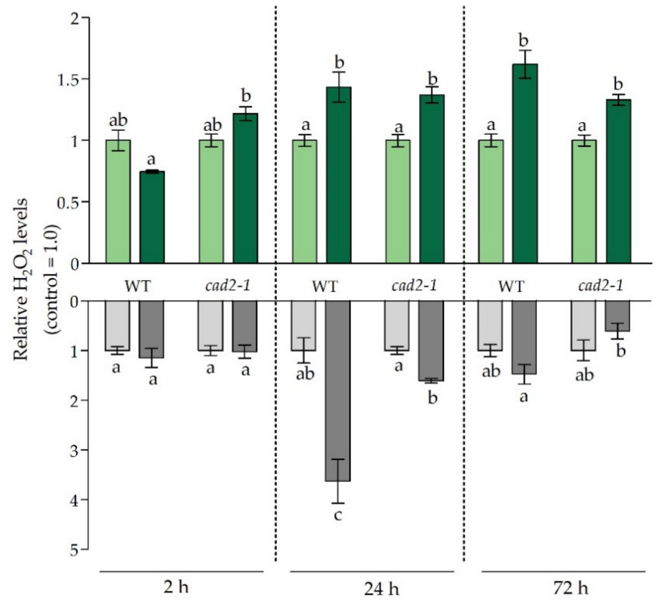 Antioxidants 11 00006 g003