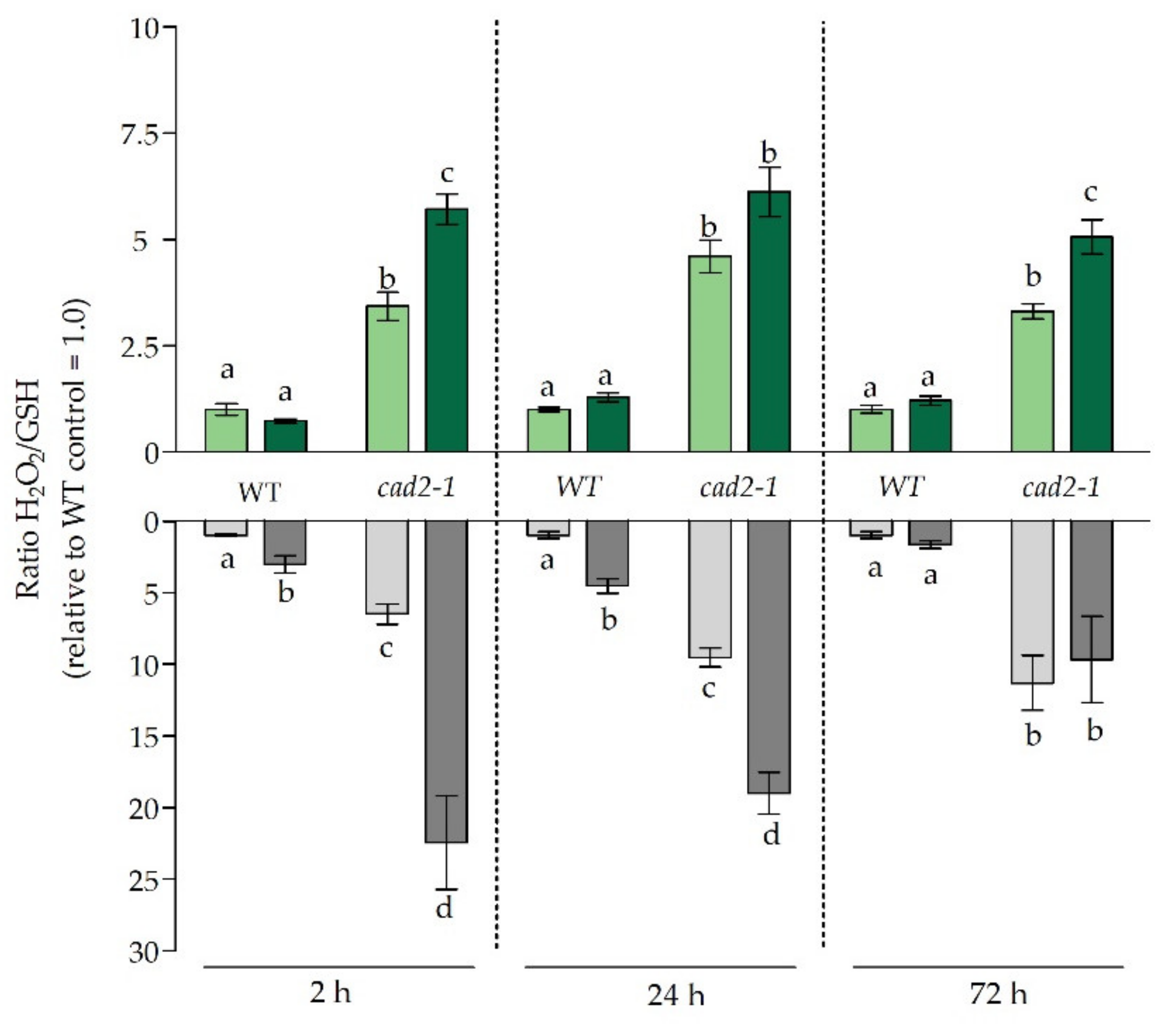 Antioxidants 11 00006 g004