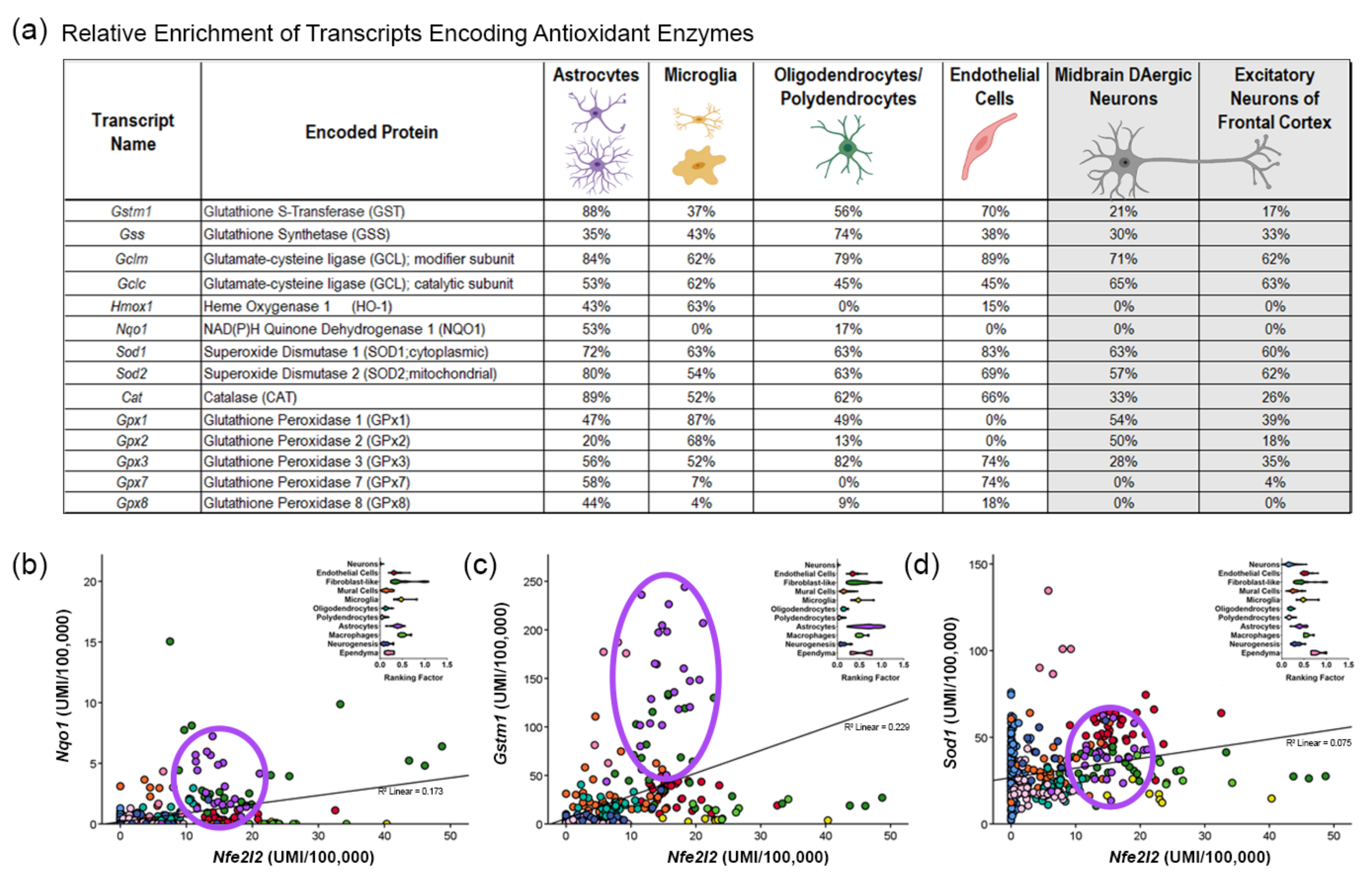 Antioxidants 11 00008 g003 Antioxidants 11 00008 g003