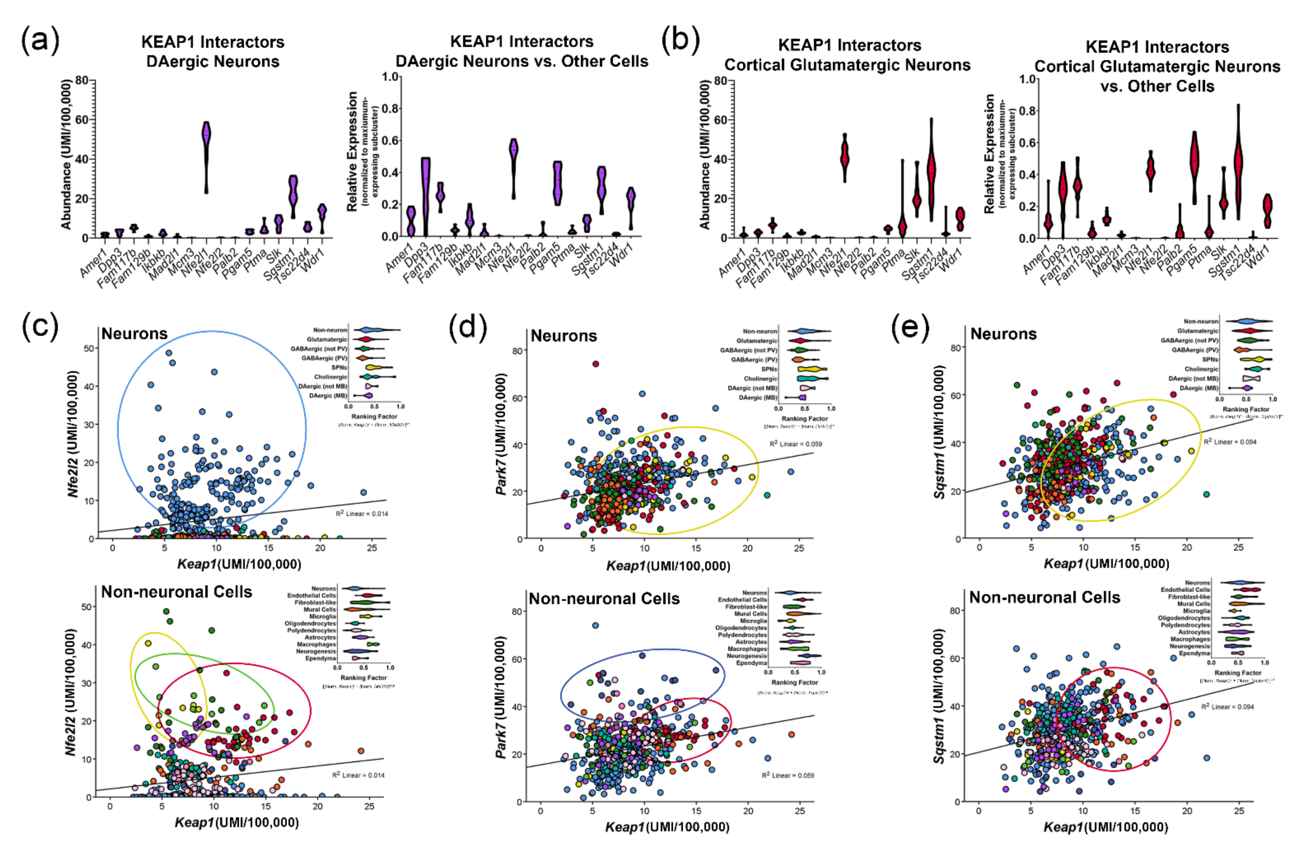 Antioxidants 11 00008 g005 Antioxidants 11 00008 g005