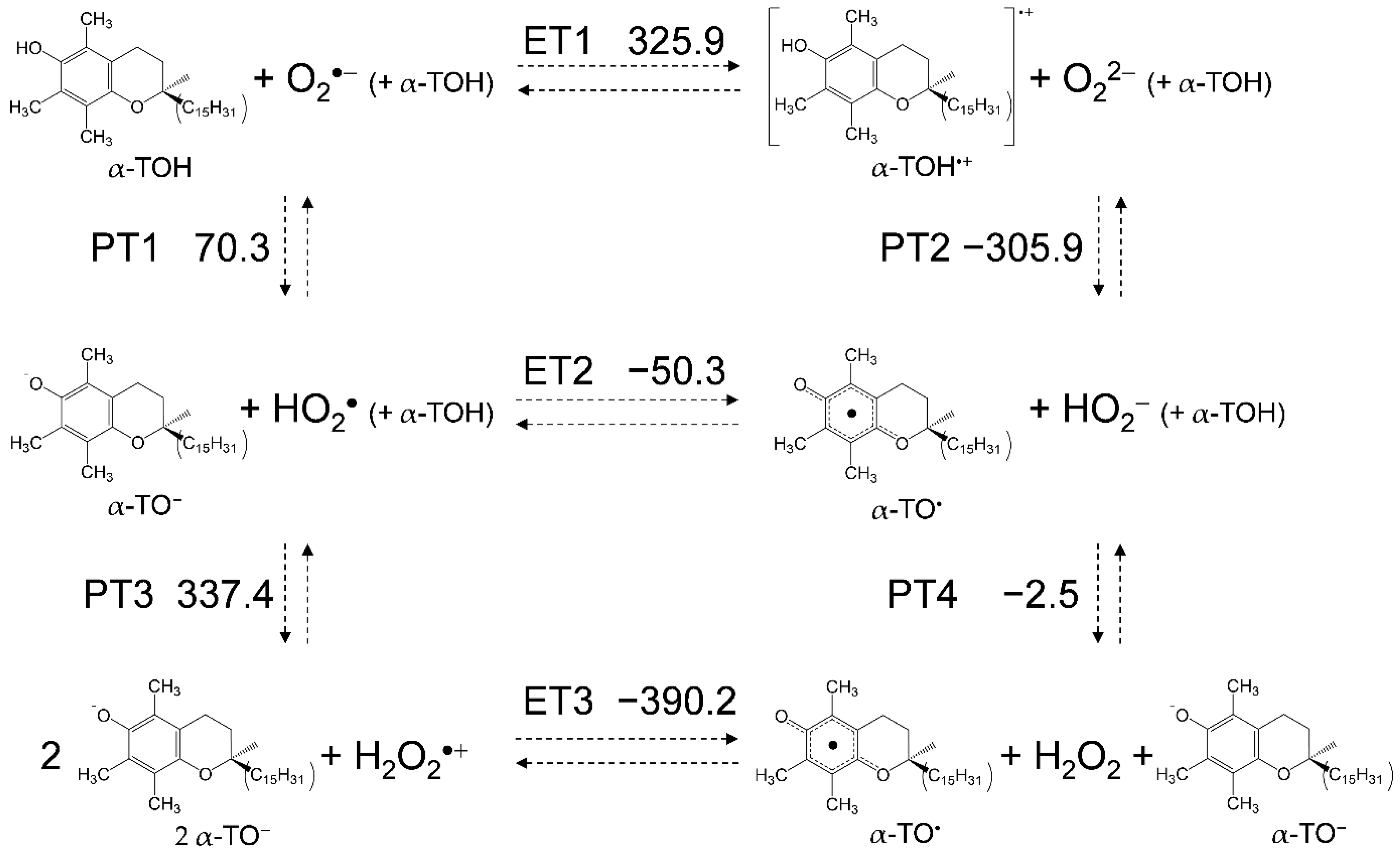 Antioxidants 11 00009 g005