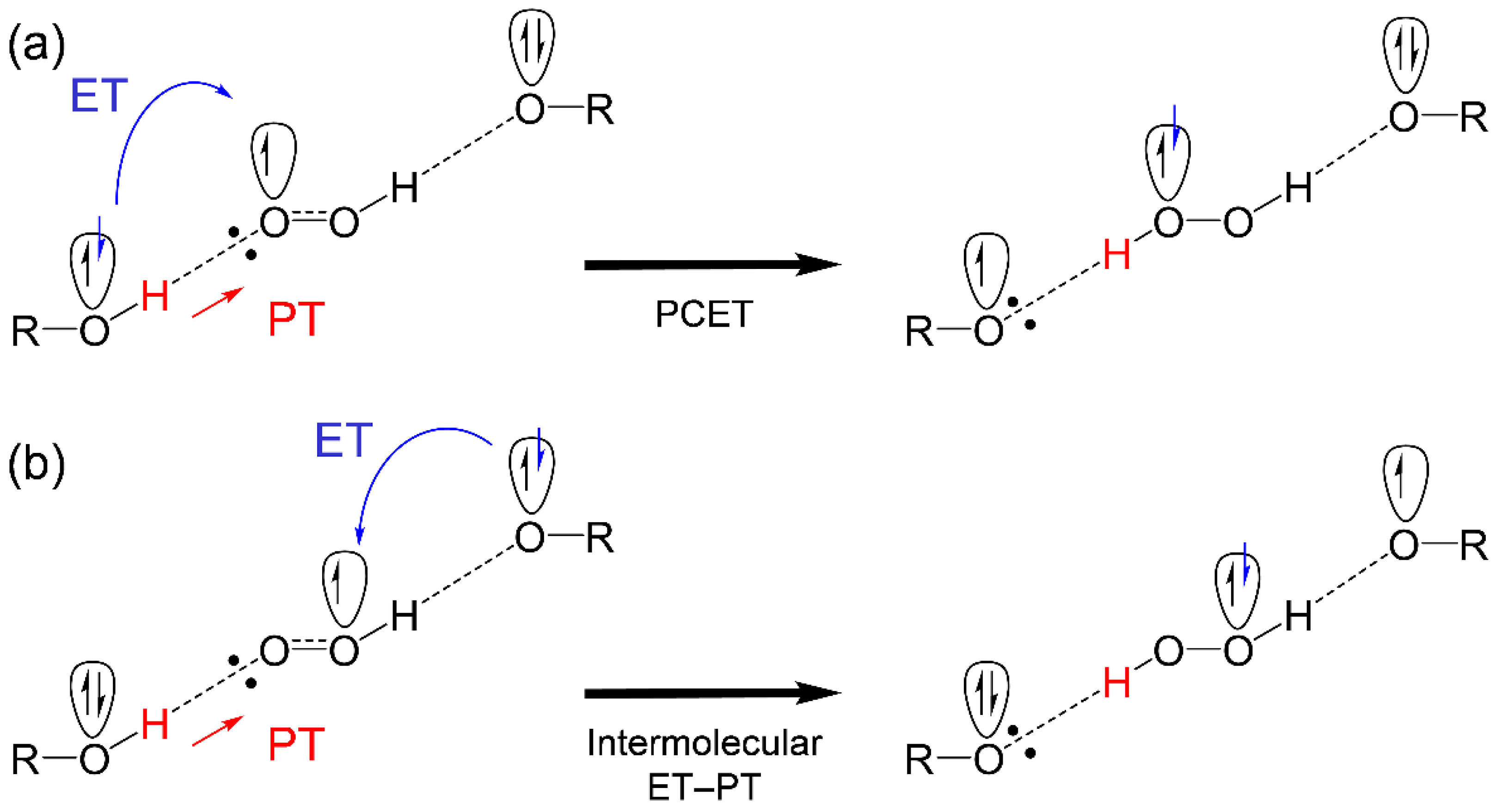 Antioxidants 11 00009 sch001