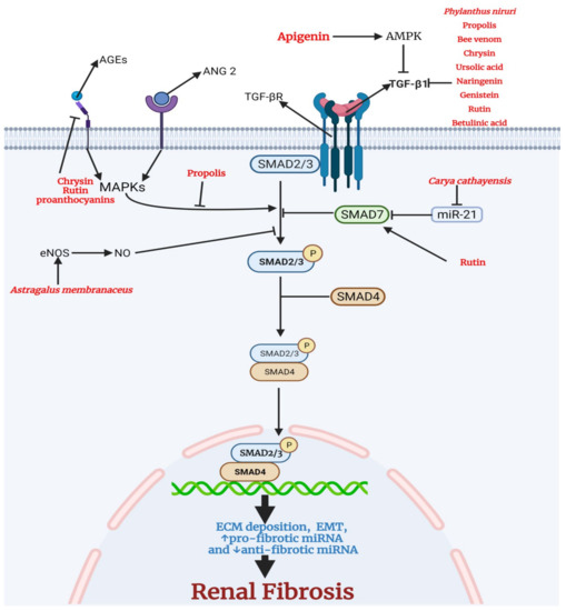 Unveiling the potential of alginate-based nanomaterials in