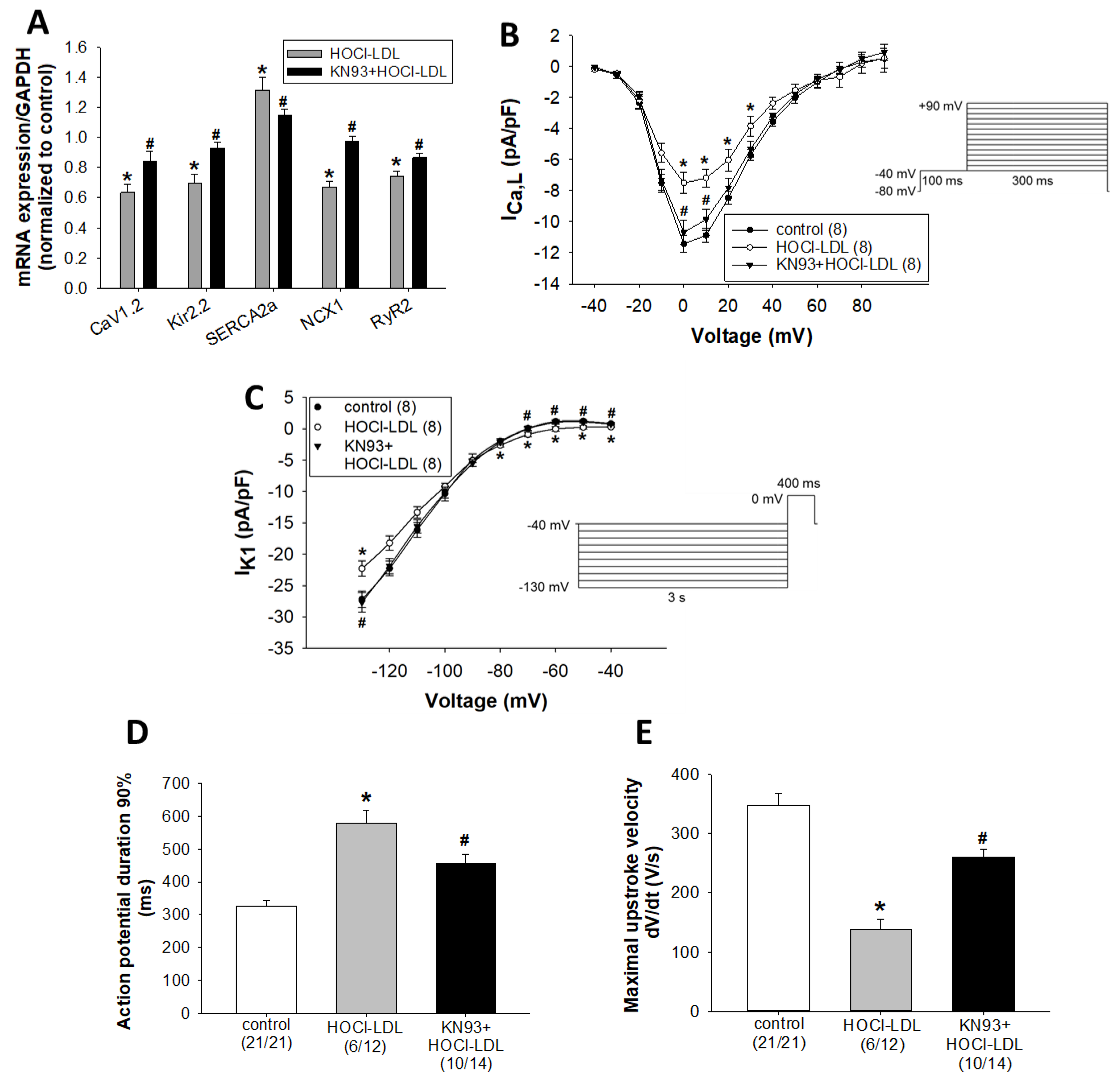 Antioxidants 11 00025 g003
