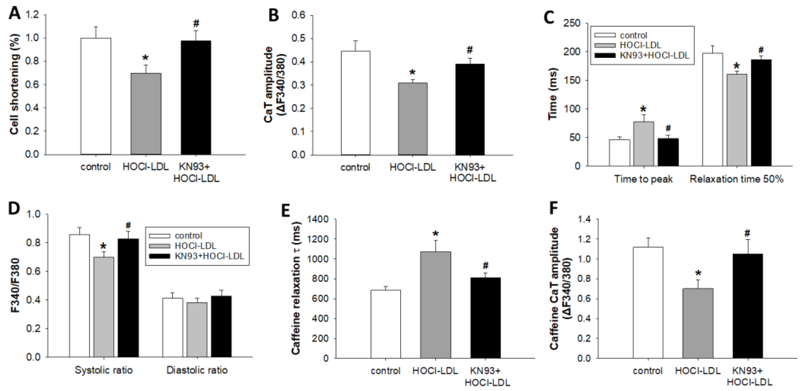 Antioxidants 11 00025 g004