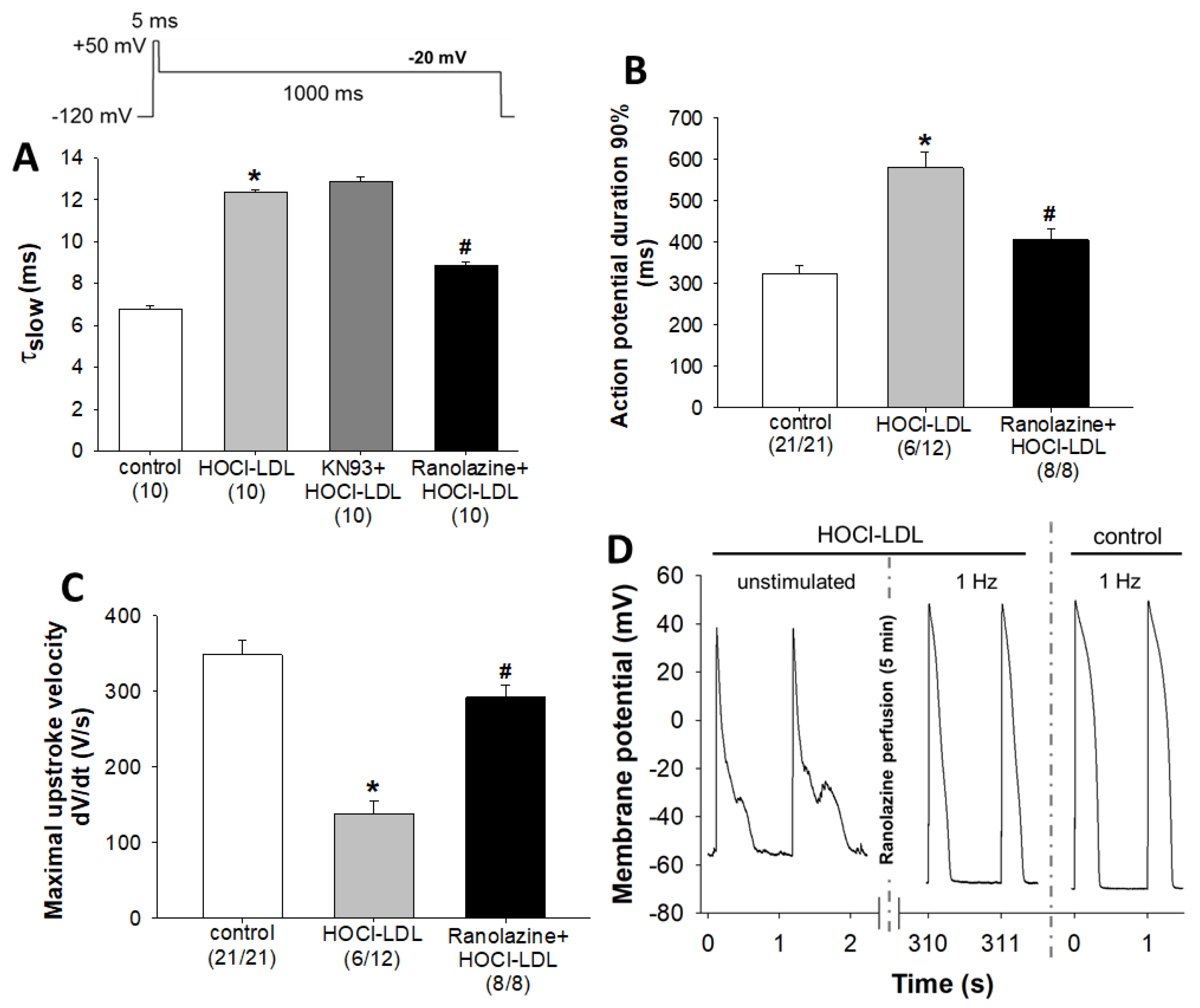 Antioxidants 11 00025 g005